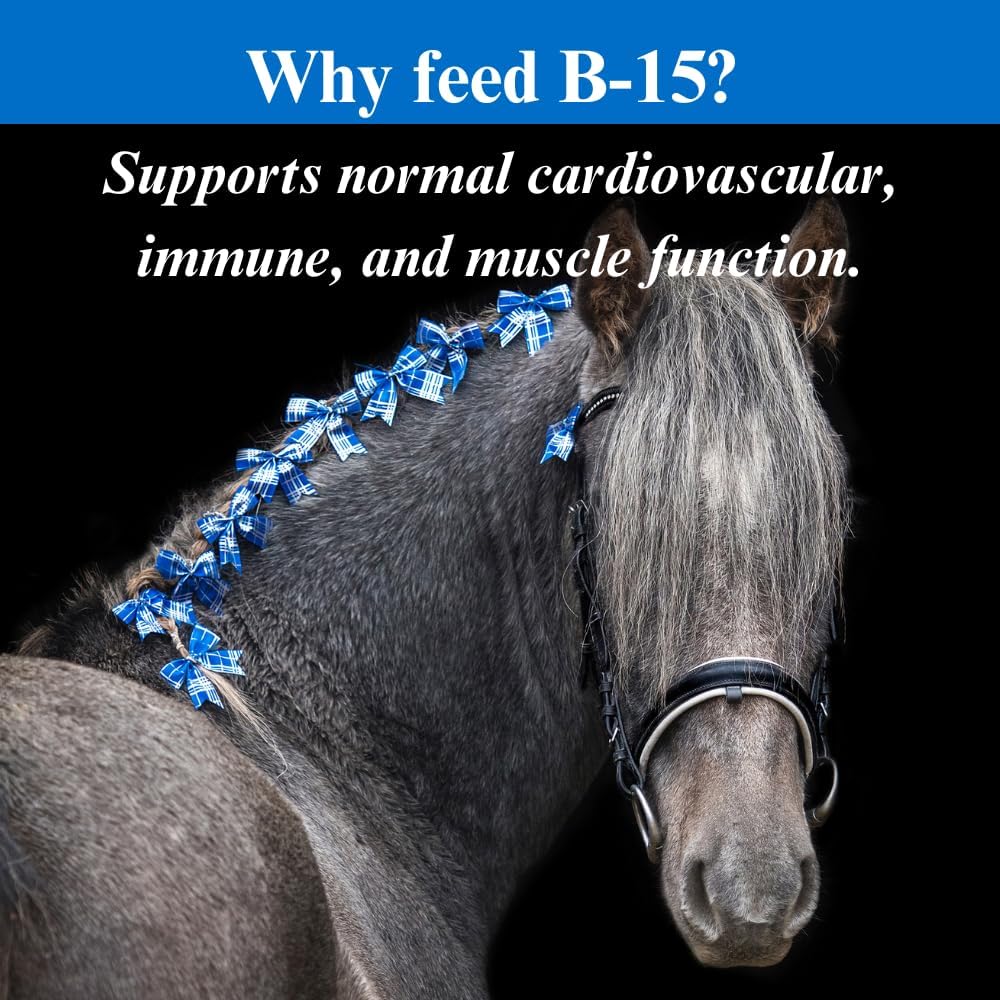 Equine Performance Support: SU-PER B-15 Vitamin Supplement Powder for Horses - 2.5 Pounds (2 Pack)