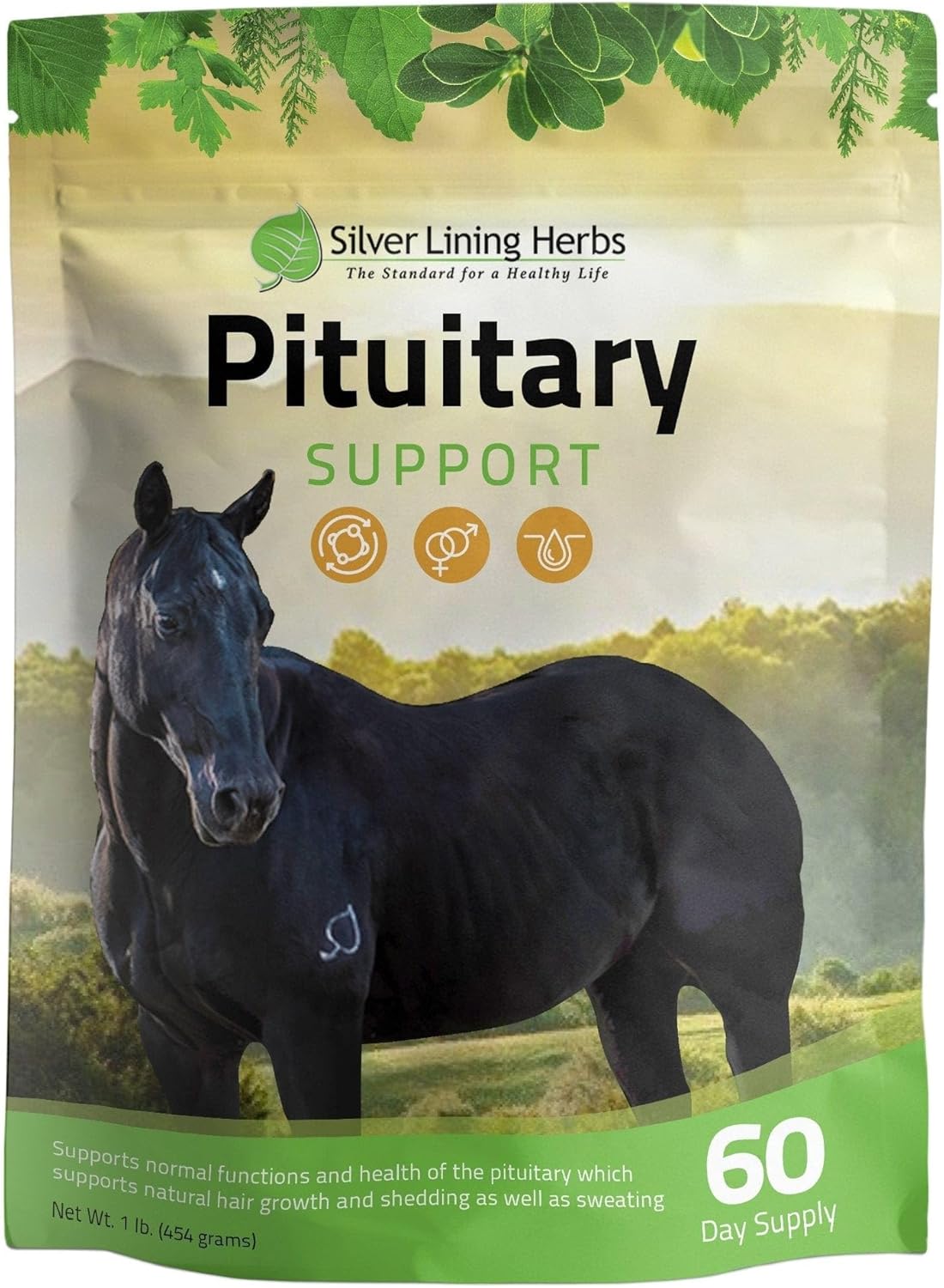 Equine Pituitary Support Herbal Blend for Senior Horses - 1 lb Bag - Promotes Normal Function & Health - Natural Solution for Pituitary Dysfunction