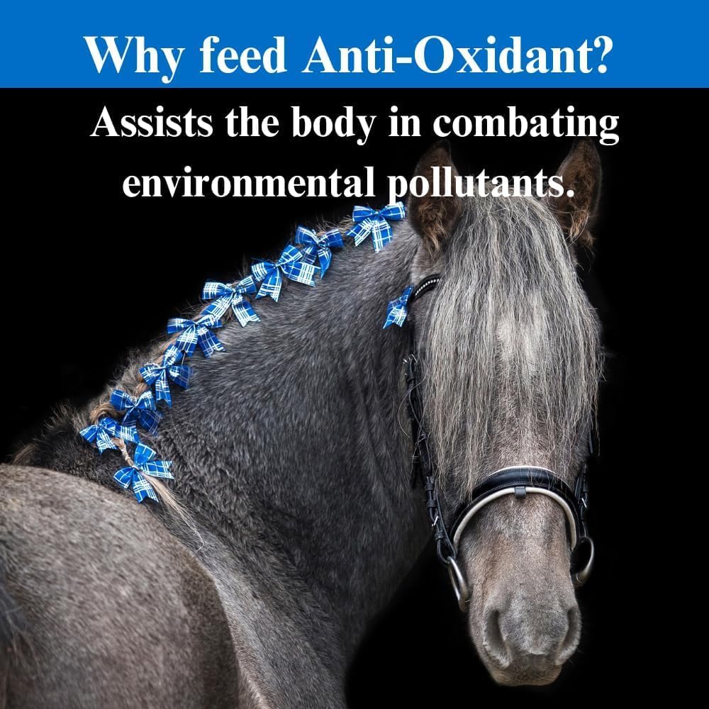 Equine Selenium Vitamin & Antioxidant Support Supplement - 4lbs (2 Pack) for Horses - SU-PER Anti-Oxidant Formula