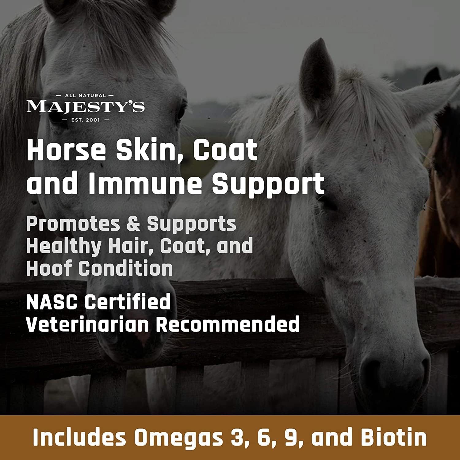 Equine Skin, Coat, and Immune Support Supplement - Majesty's Omega Wafers - Omega 3, 6, 9, and Biotin - 60 Count (2 Month Supply)