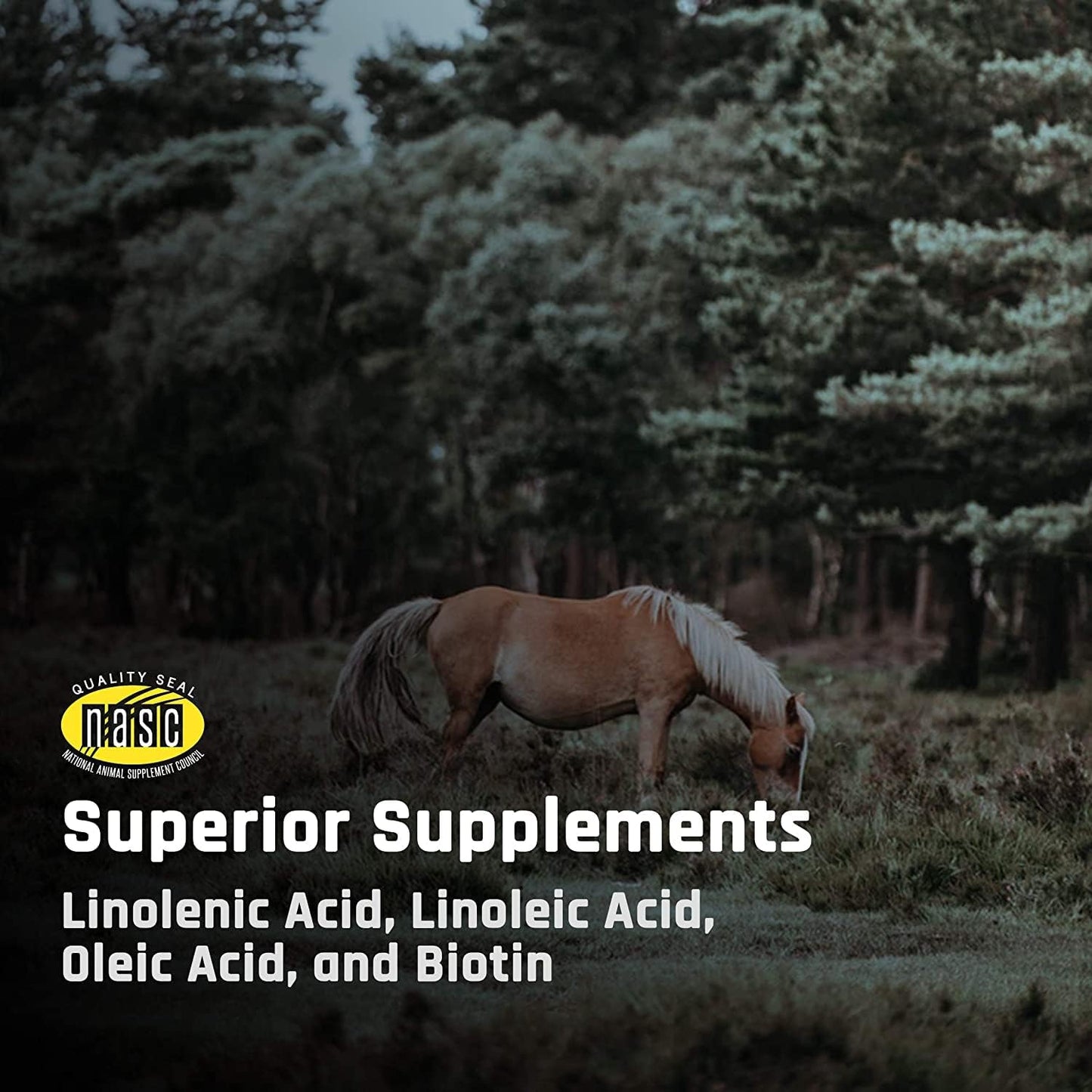 Equine Skin, Coat, and Immune Support Supplement - Majesty's Omega Wafers - Omega 3, 6, 9, Biotin - 30 Count