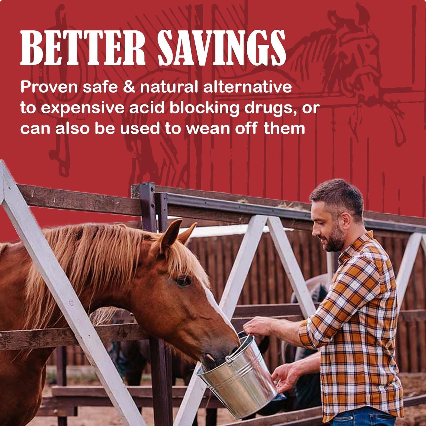 Equine Starting Gate Granules: Calming Horse Supplement for Gastric Ulcers (5-Gallon Pail, 15-Week Supply)