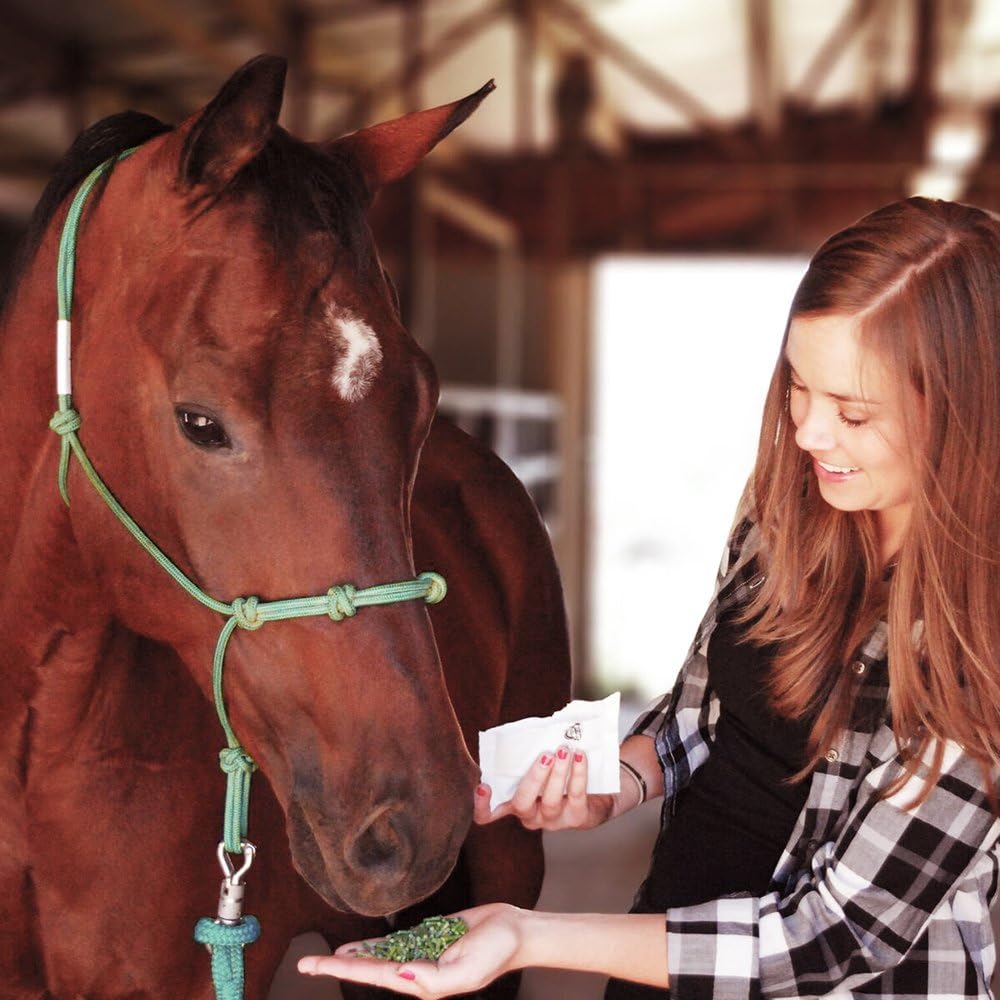 Equine Supplement: Formula 707 Joint 6in1 + Daily Essentials Combo Fresh Packs, 28 Day Supply - Green-Lipped Mussel, Glucosamine, Chondroitin, Collagen, Bromelain, MSM & Vitamins