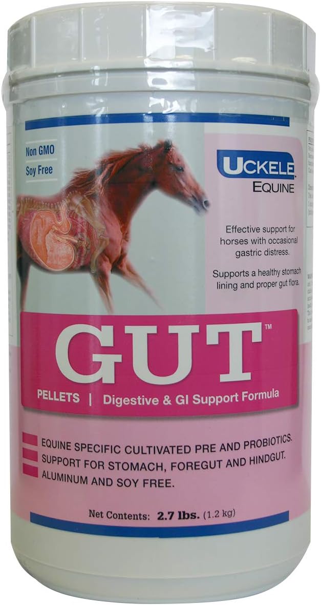 Equine Vitamin and Mineral Supplement for Healthy Digestion - Uckele Gut Pellets - 2.7 lb