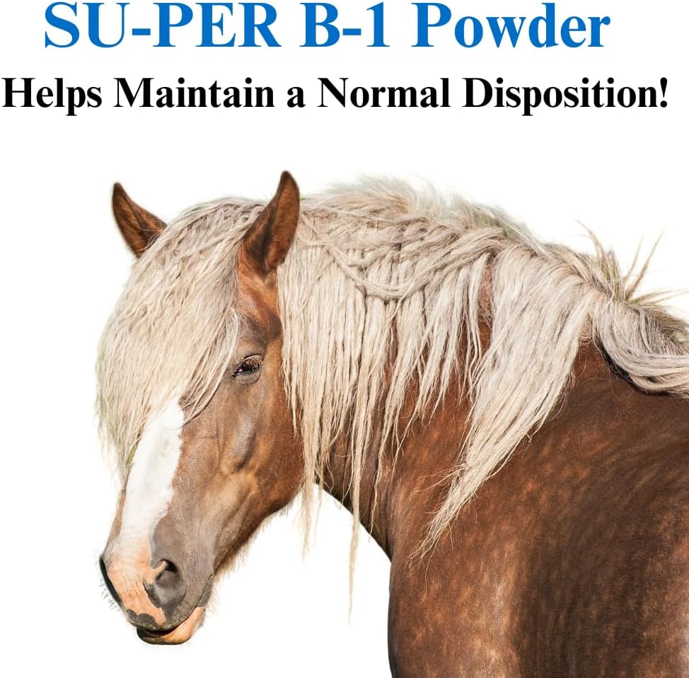 Equine Vitamin B-1 Calming Supplement for Horses - Appetite Booster Powder - 5 Pounds - Pack of 2