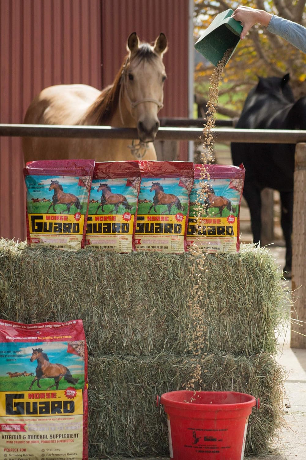 Equine Vitamin Mineral Supplement with Organic Selenium & Vitamin E - 10 lb Horse Guard