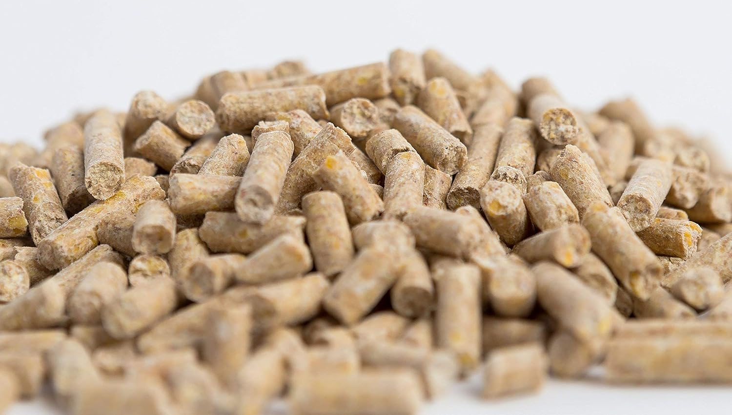 Equine Vitamin Mineral Supplement with Organic Selenium & Vitamin E - 10 lb Horse Guard