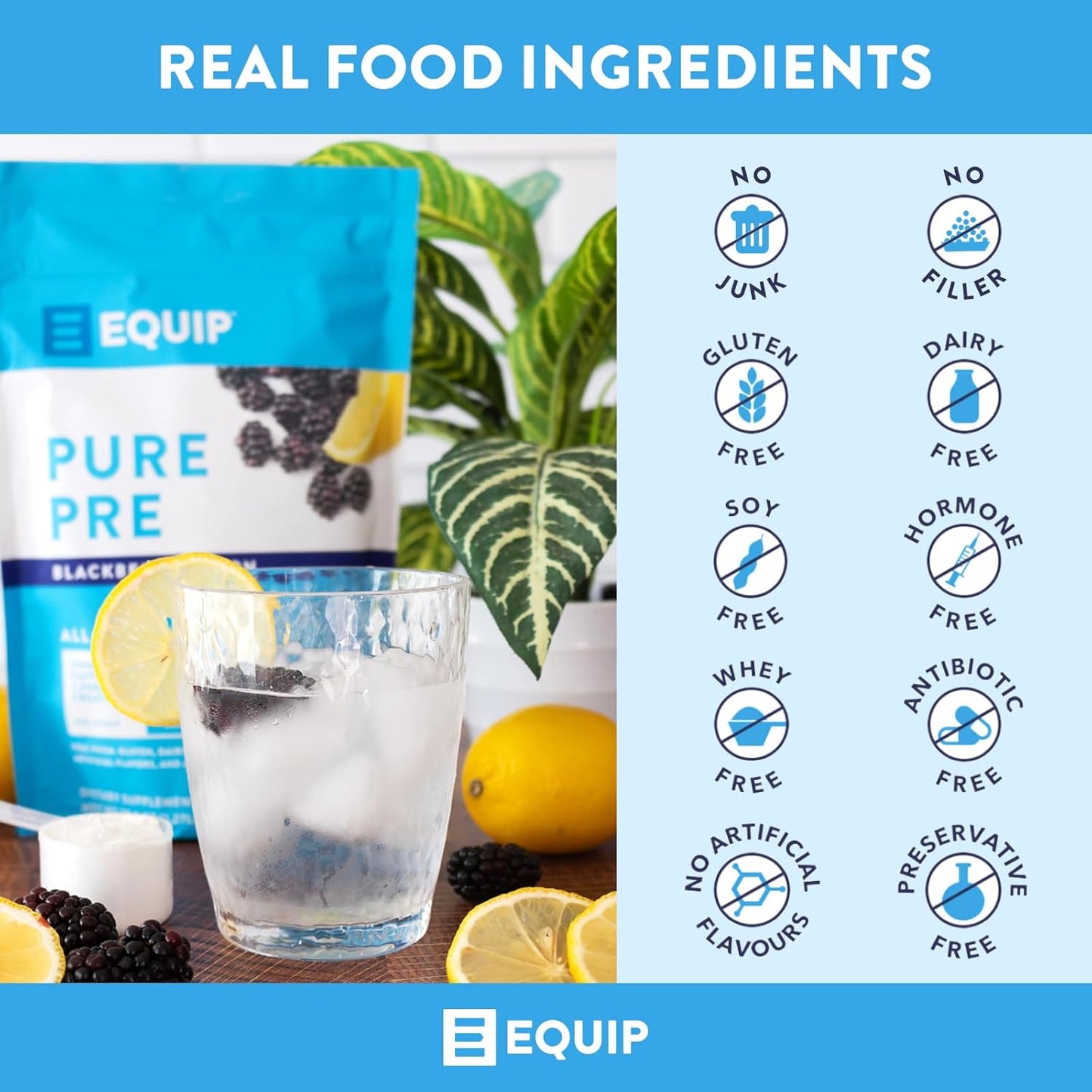 Equip Foods Pure Pre-Workout Powder with Green Tea Caffeine & Essential Nutrients - Boost Workouts Naturally - 30 Servings, BlackBerry Lemon Flavor