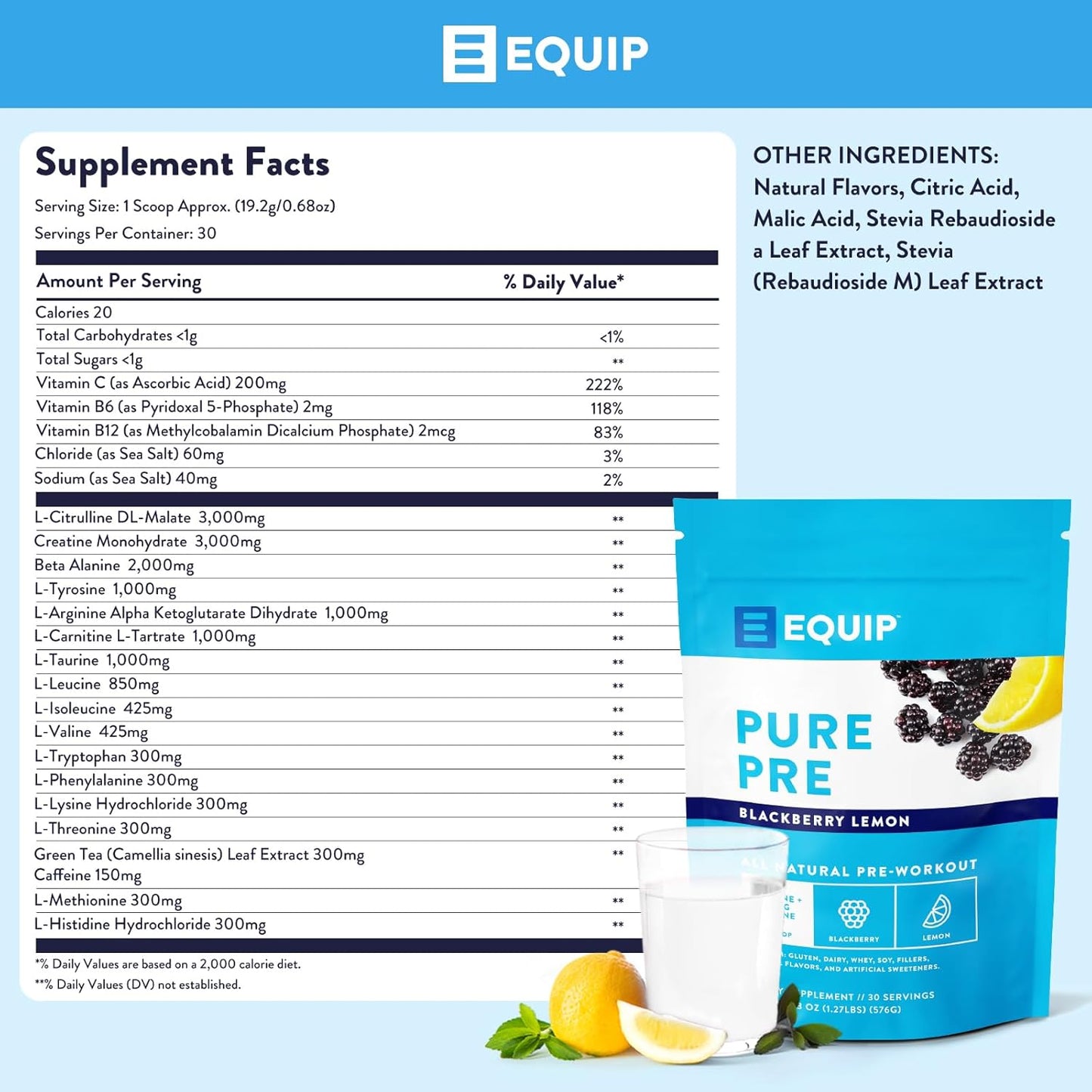 Equip Foods Pure Pre-Workout Powder with Green Tea Caffeine & Essential Nutrients - Boost Workouts Naturally - 30 Servings, BlackBerry Lemon Flavor