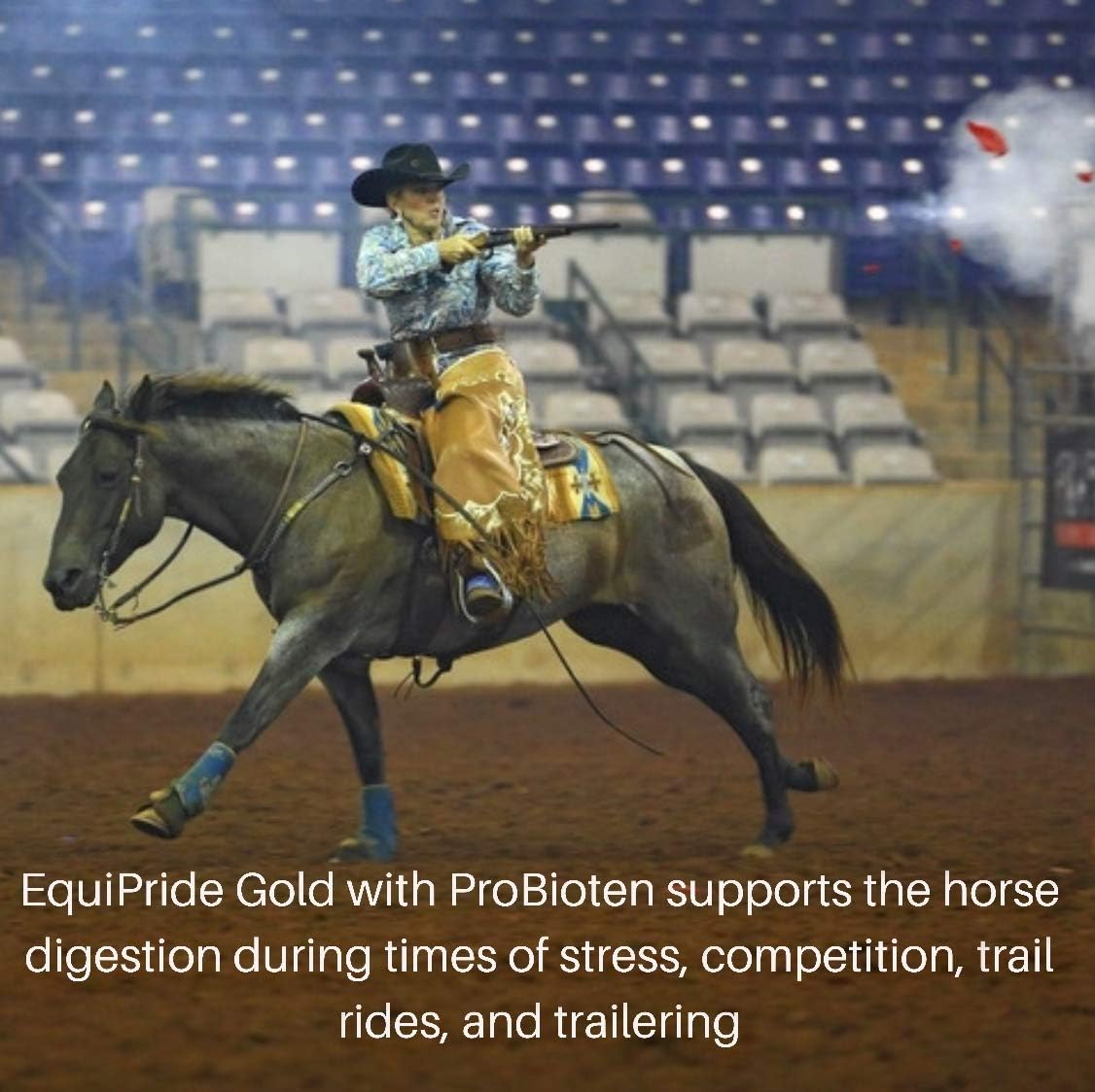Equipride Gold with ProBiotein: Boost Horse Appetite & Feed Efficiency During Stress - Ideal for Competition, Trail Rides & Trailering