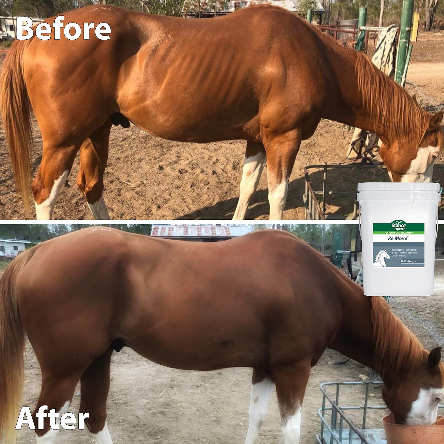 Equitec Re Move Horse Supplement with Probiotics for Natural Toxin Removal - 8.8 lb
