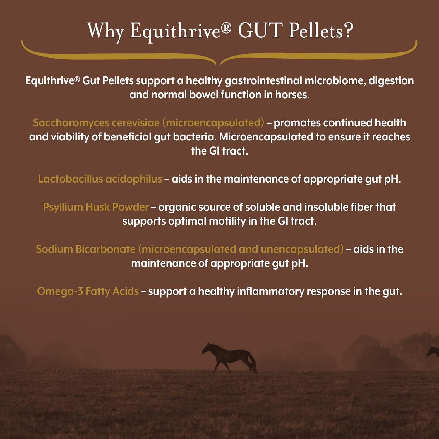 Equithrive Digestive Support Supplement for Horses with Probiotics, Psyllium, Sodium Bicarbonate, and Omega 3 - 3.3 lbs