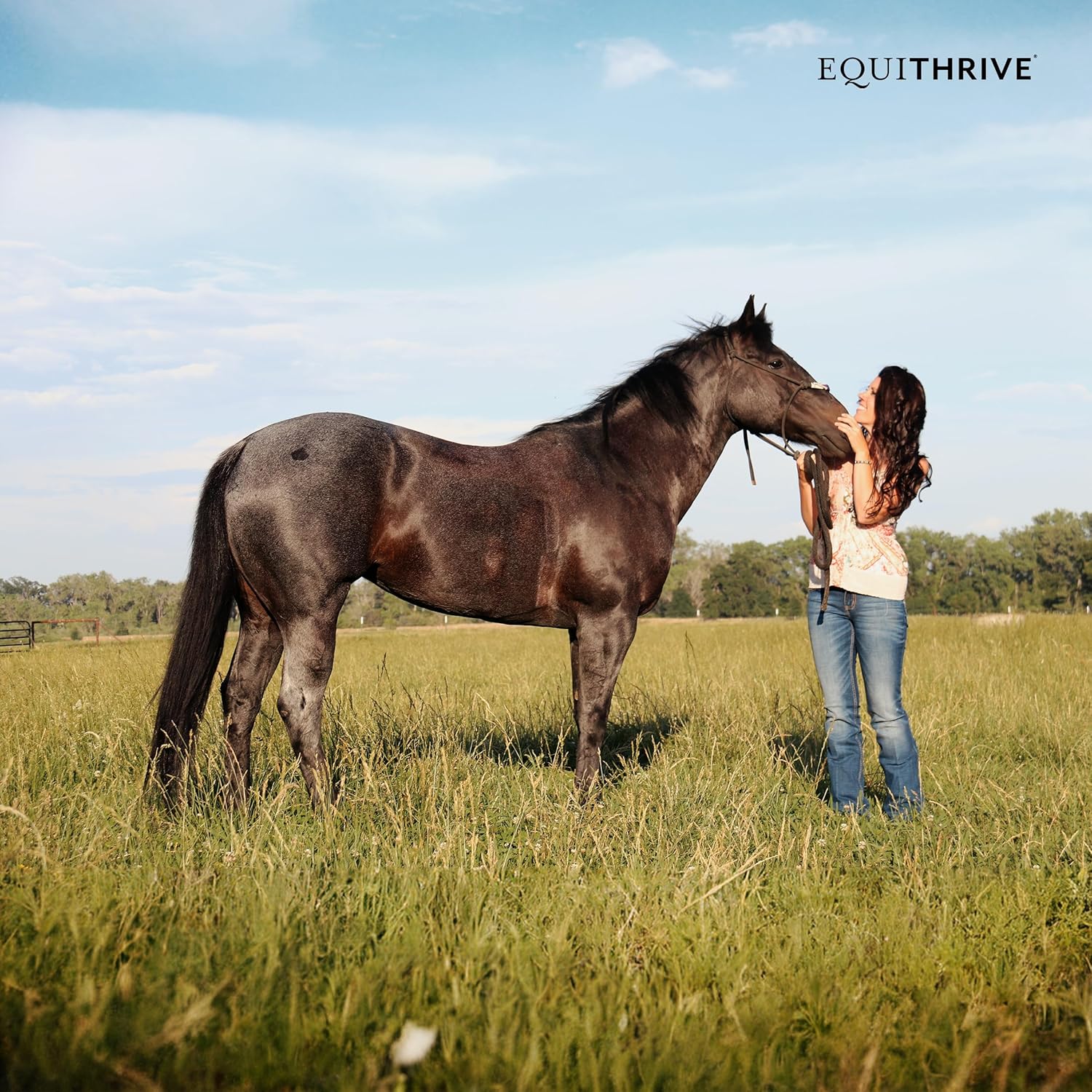 Equithrive Digestive Support Supplement for Horses - Gut Pellets with Probiotics, Psyllium Husk, Sodium Bicarbonate, Omega 3 - 10 lbs