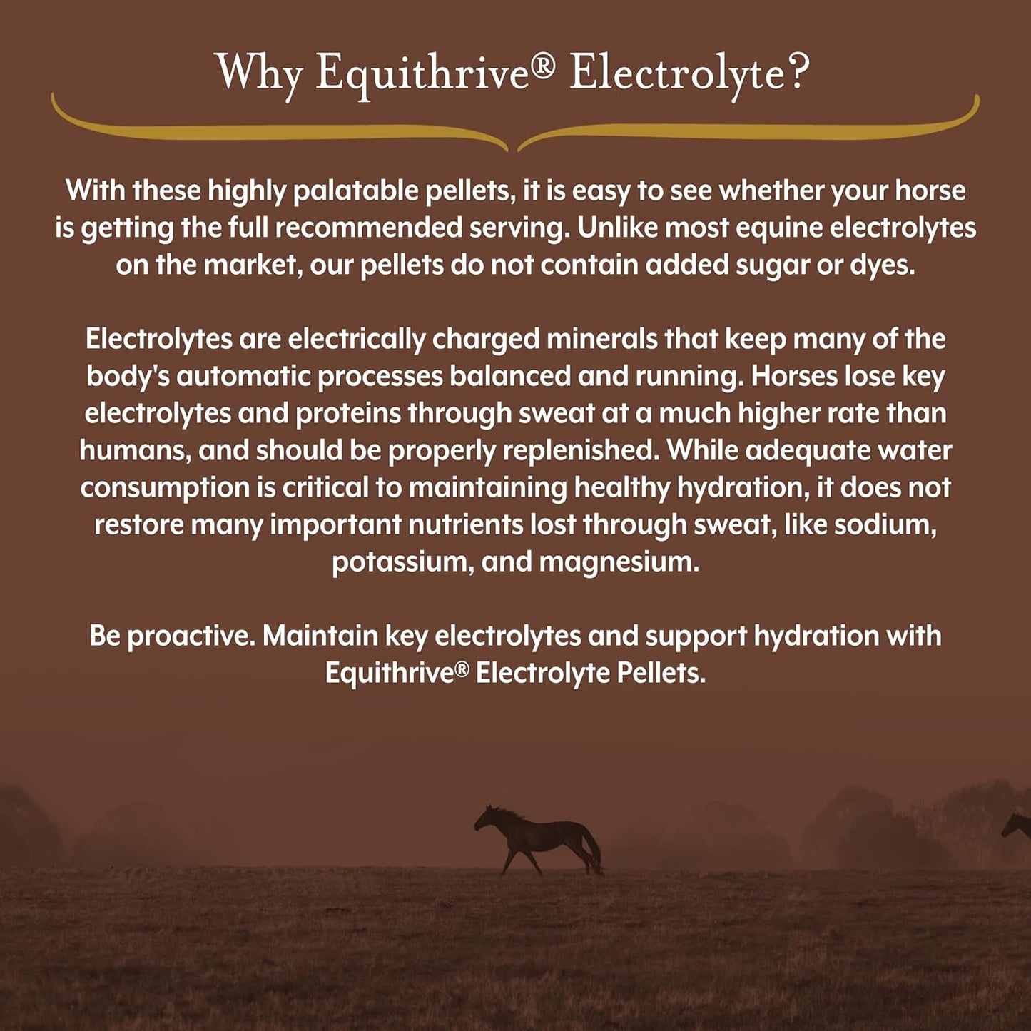 Equithrive Horse Electrolyte Pellets, Vitamins and Minerals Supplement - 10 lbs, 50 Day Supply for Training and Competition