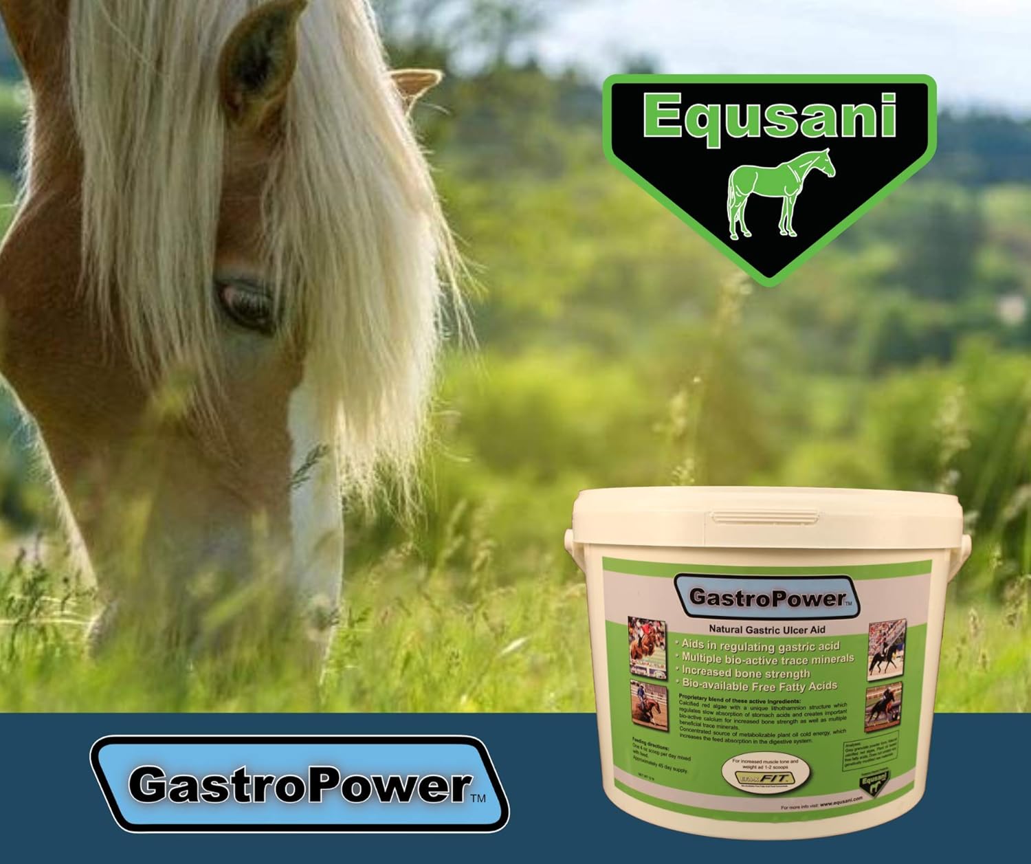 Equsani Inc Gastrointestinal Support Supplement for Digestive Health