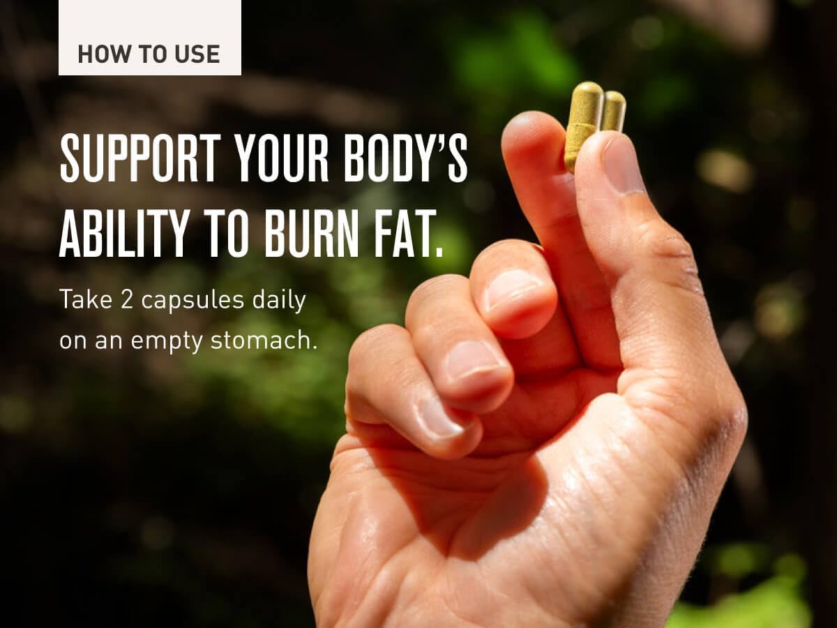 Essential Morning Kick and 3-Hit Combo Bundle for a Powerful Start to Your Day