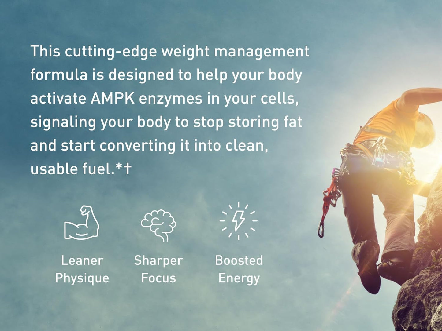 Essential Morning Kick and 3-Hit Combo Bundle for a Powerful Start to Your Day