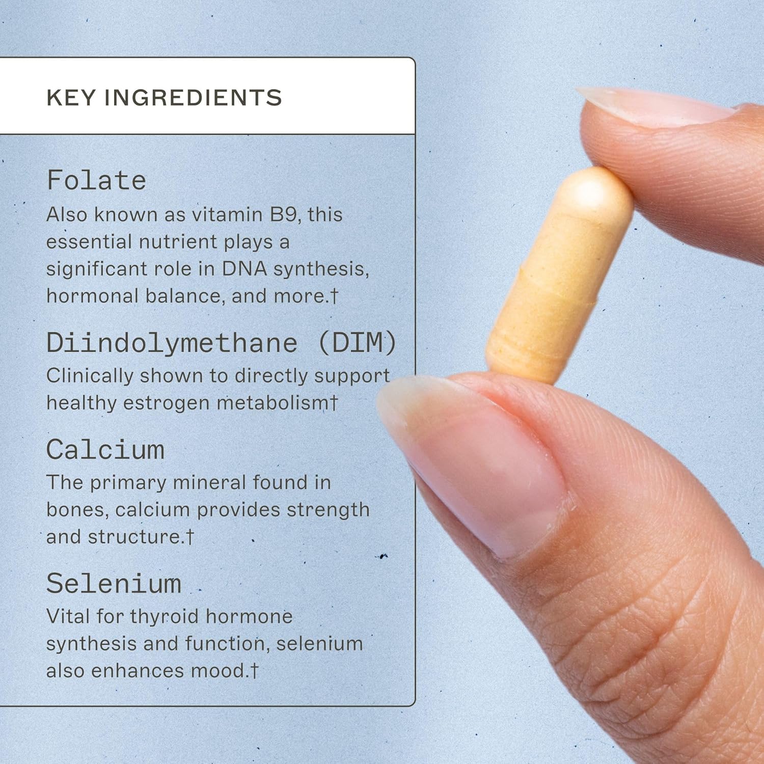 Estroprotect Supplement for Women by Amy Myers MD - Promotes Healthy Estrogen Balance, Internal Thermostat, and Menstrual Comfort - 60 Capsules