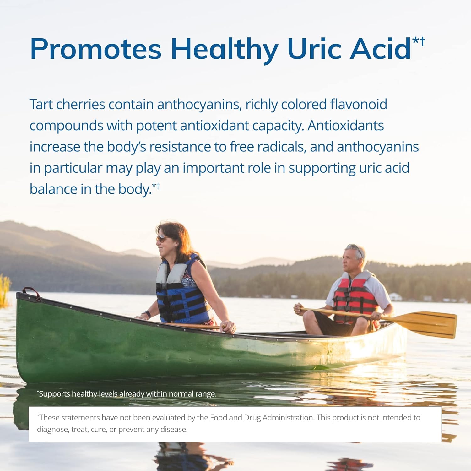 Euromedica Tart Cherry Capsules - Supports Uric Acid Balance - Vegan & Non-GMO - 120 Count