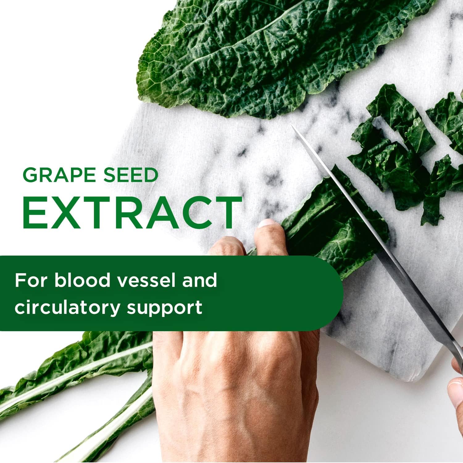 European Grape Seed Extract Supplement - Antioxidant & Immune Support - Promotes Healthy Blood Flow - 90 Vegetable Capsules