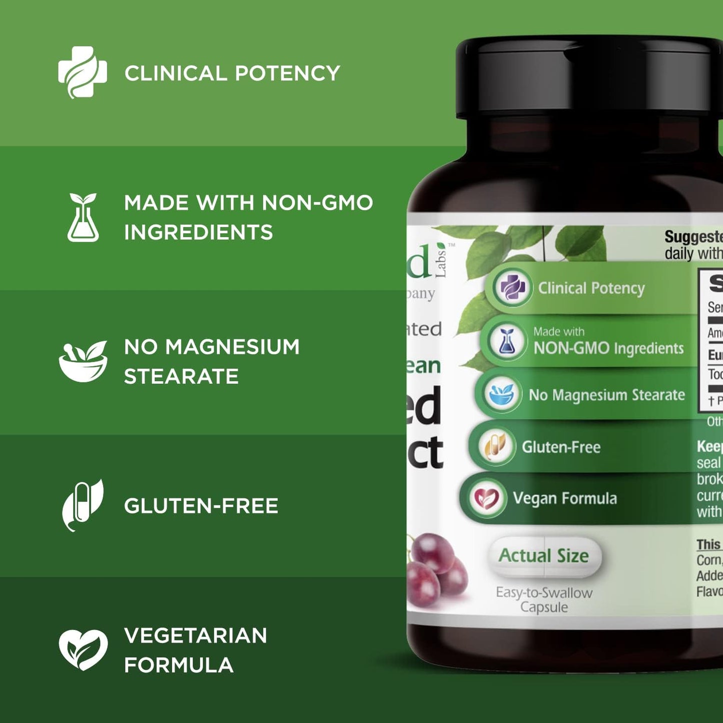European Grape Seed Extract Supplement - Antioxidant & Immune Support - Promotes Healthy Blood Flow - 90 Vegetable Capsules