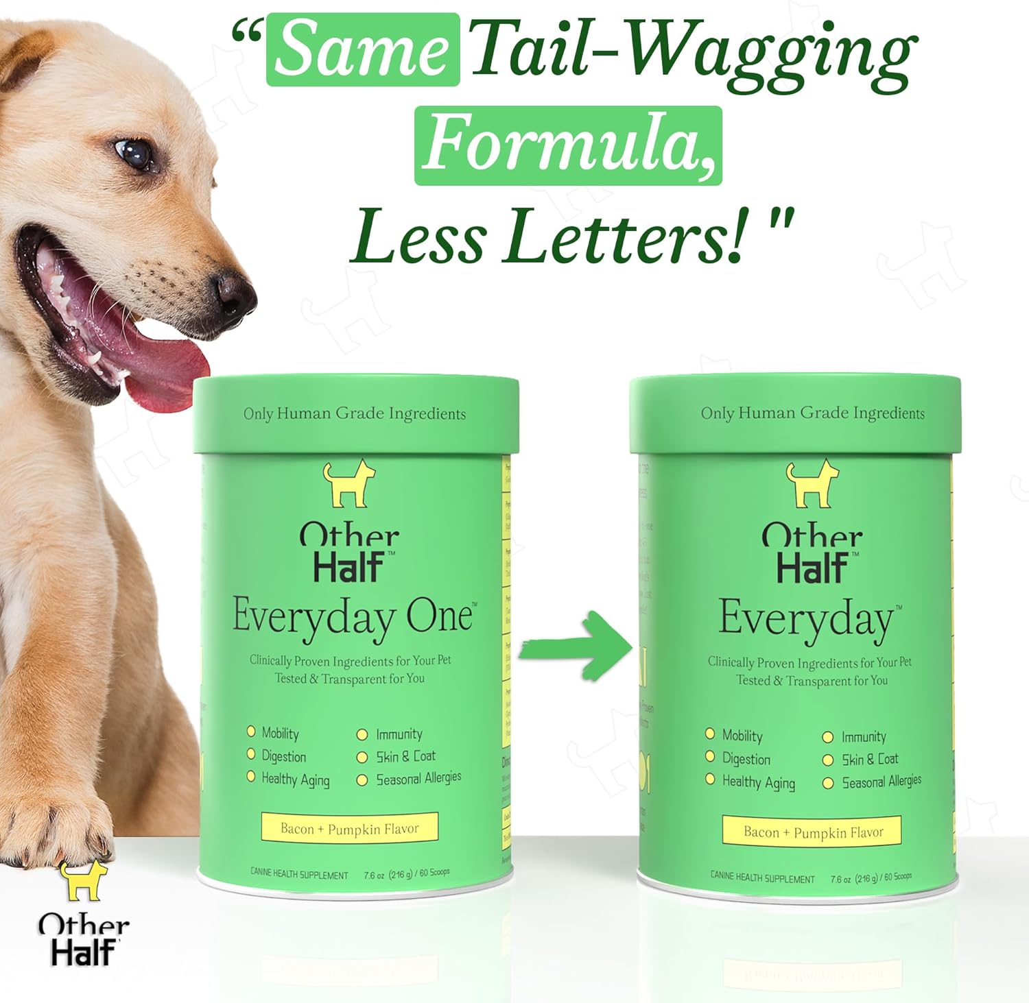 Everyday One Clean Dog Multivitamin - Joint, Gut, Allergy, Immune, Urinary Tract Support - Glucosamine, Chondroitin, Omega 3, Probiotics - 45 Active Ingredients