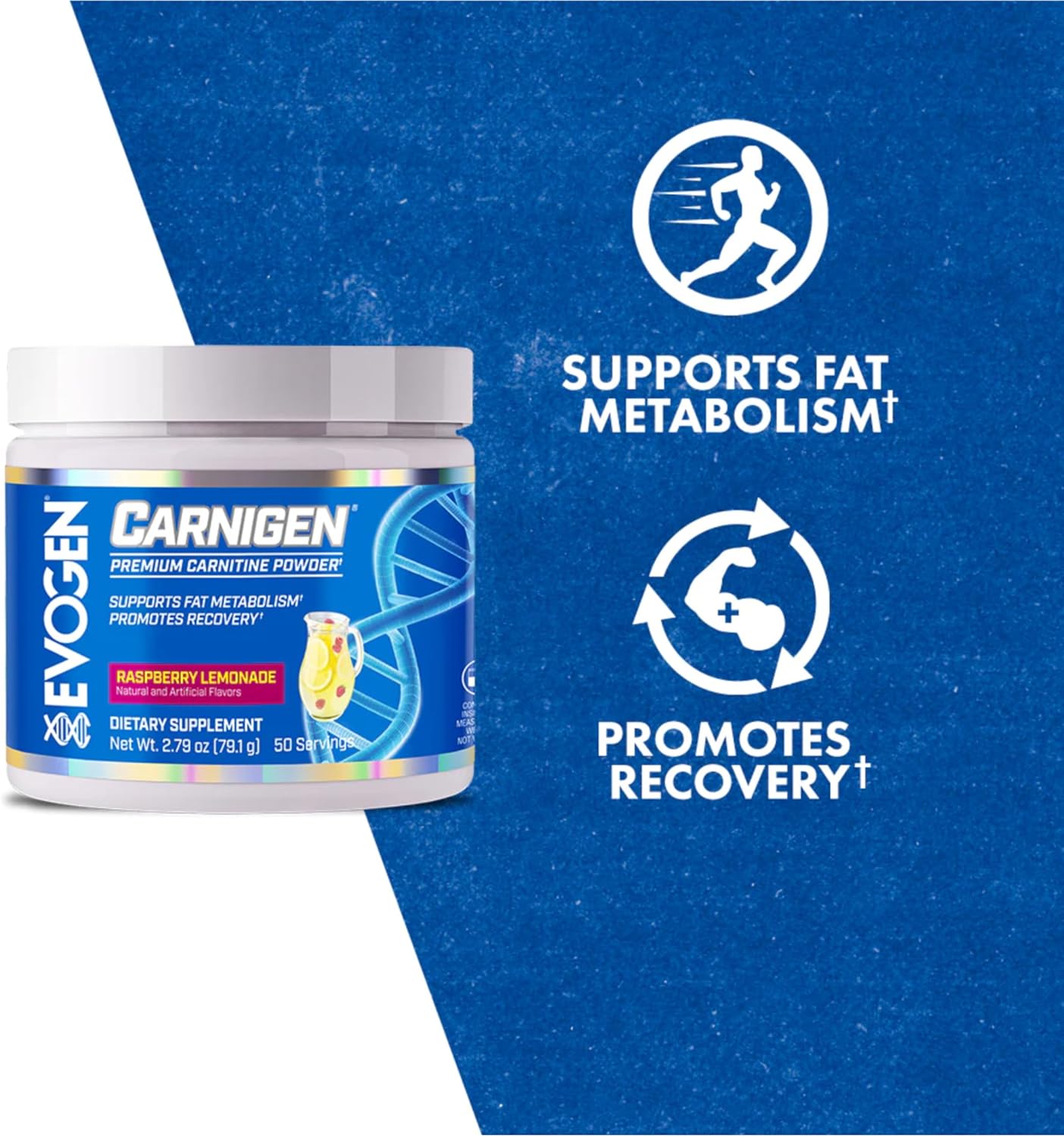 Evogen Carnigen - Stimulant-Free L Carnitine Powder for Fat Metabolism & Recovery - Raspberry Lemonade Flavor - 50 Servings