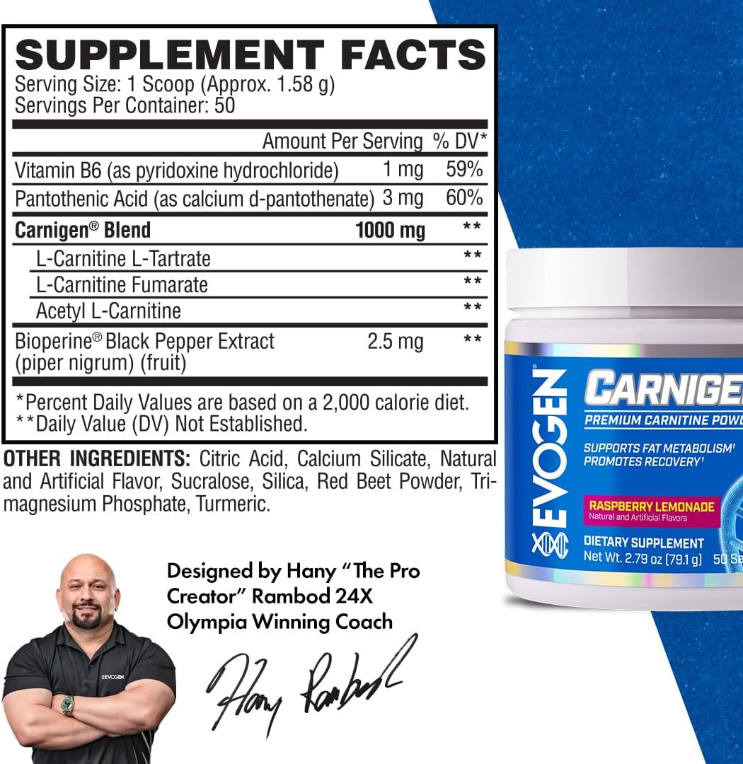 Evogen Carnigen - Stimulant-Free L Carnitine Powder for Fat Metabolism & Recovery - Raspberry Lemonade Flavor - 50 Servings