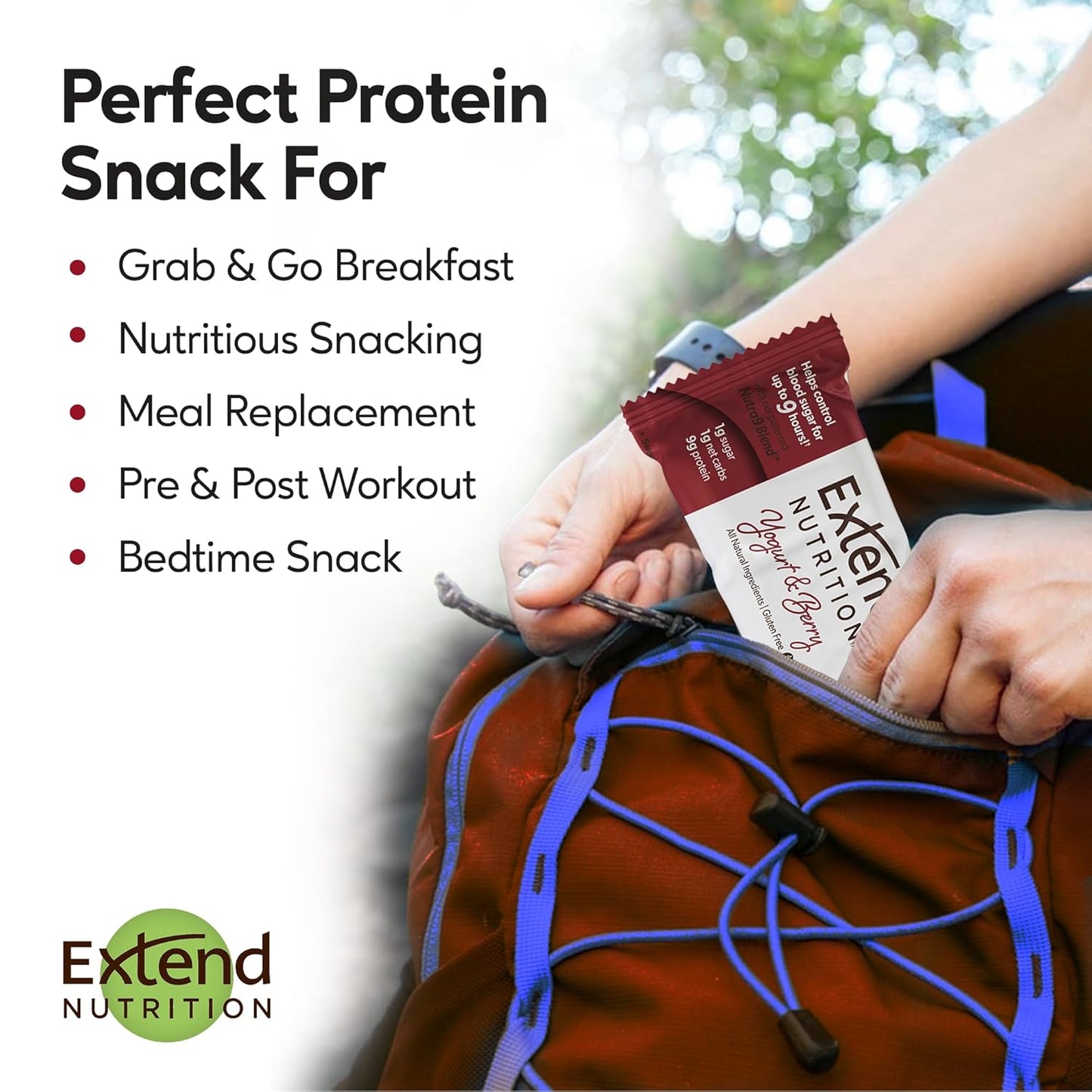 Extend Nutrition High Protein Sugar Free Bars for Hunger Control & Steady Energy - Variety Pack of 12, Keto & Diabetic Friendly