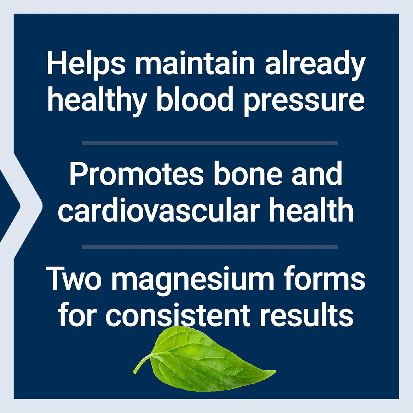 Extend-Release Magnesium Capsules for Heart & Bone Health - Bioavailable Formula, Gluten-Free, Non-GMO, Vegetarian - 60 Count