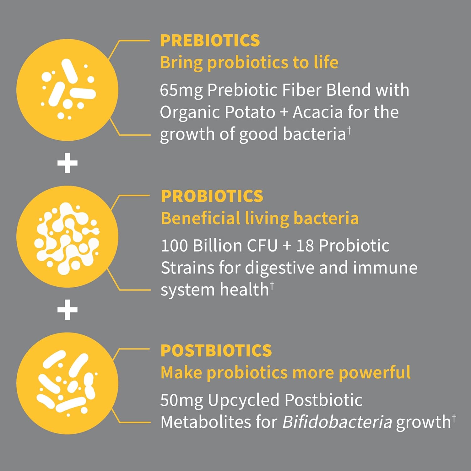 Extra Strength 3-in-1 Probiotics, Prebiotics & Postbiotics Supplement for Digestive & Immune Health - 100 Billion CFU - Men & Women