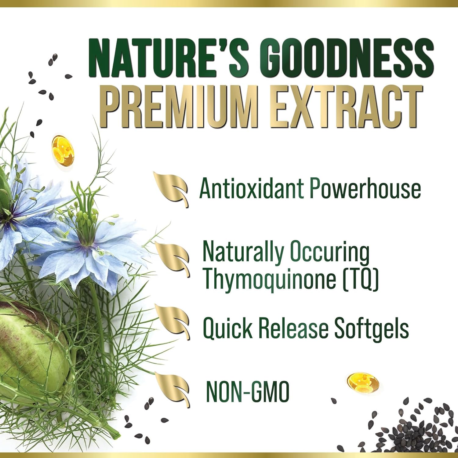 Extra Strength Cold Pressed Black Seed Oil Softgels - 1000mg Pure Nigella Sativa Supplement for Skin & Immune Support - Non-GMO Antioxidant - 180 Softgels