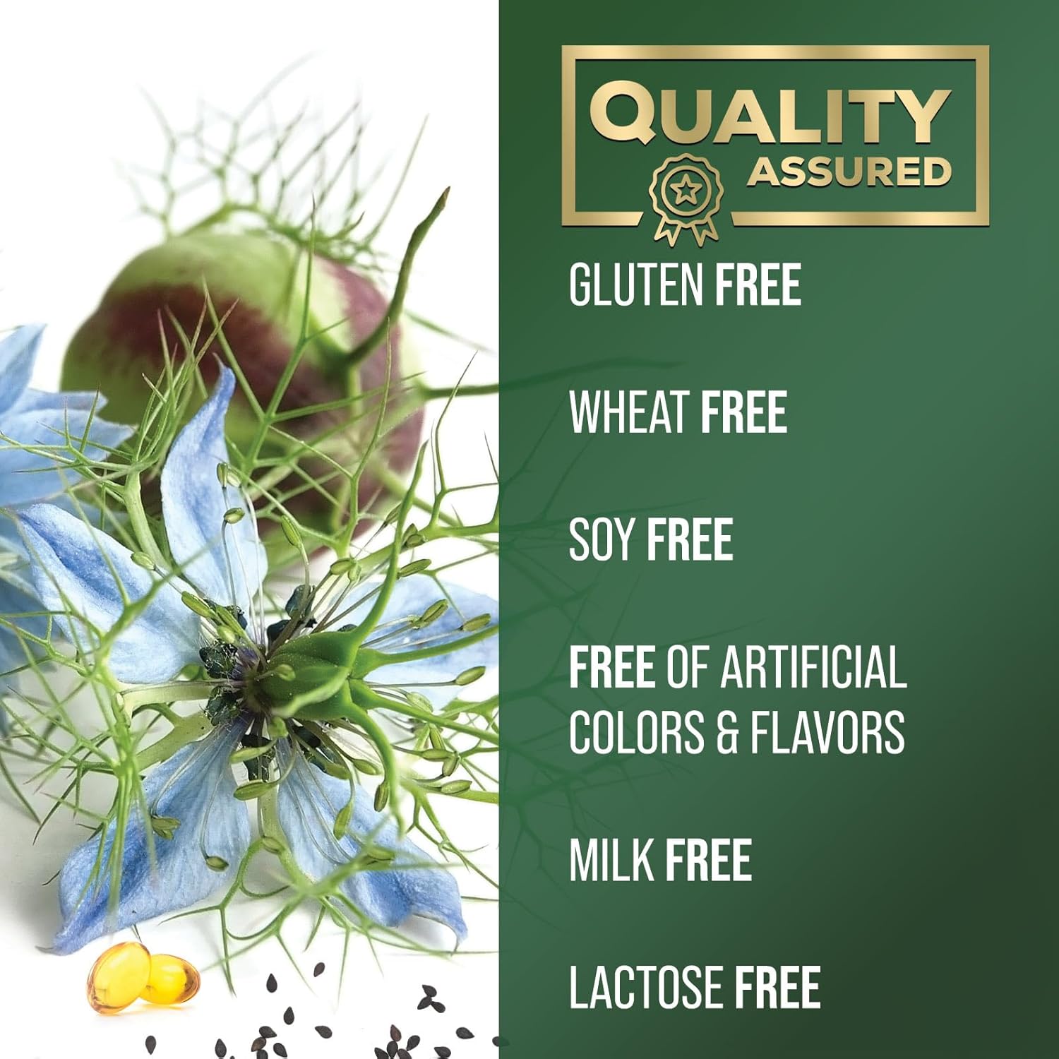 Extra Strength Cold Pressed Black Seed Oil Softgels - 1000mg Pure Nigella Sativa Supplement for Skin & Immune Support - Non-GMO Antioxidant - 180 Softgels