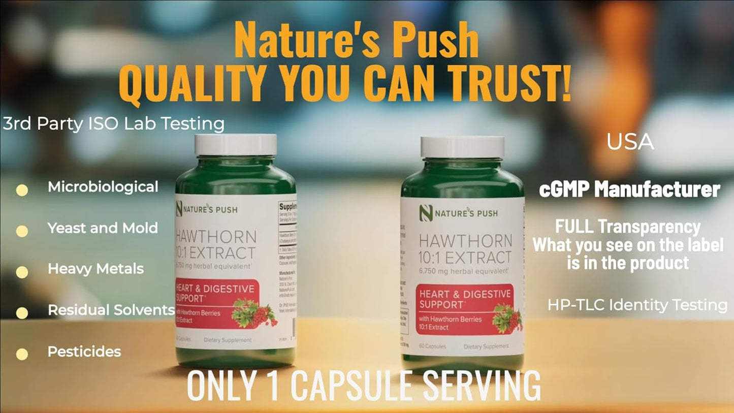 Extra Strength Hawthorn Berry Capsules for Digestion, Heart Health, and Glycemic Support - 10:1 Extract - Non-GMO, Gluten Free, Vegan - Made in USA - 2 Month Supply