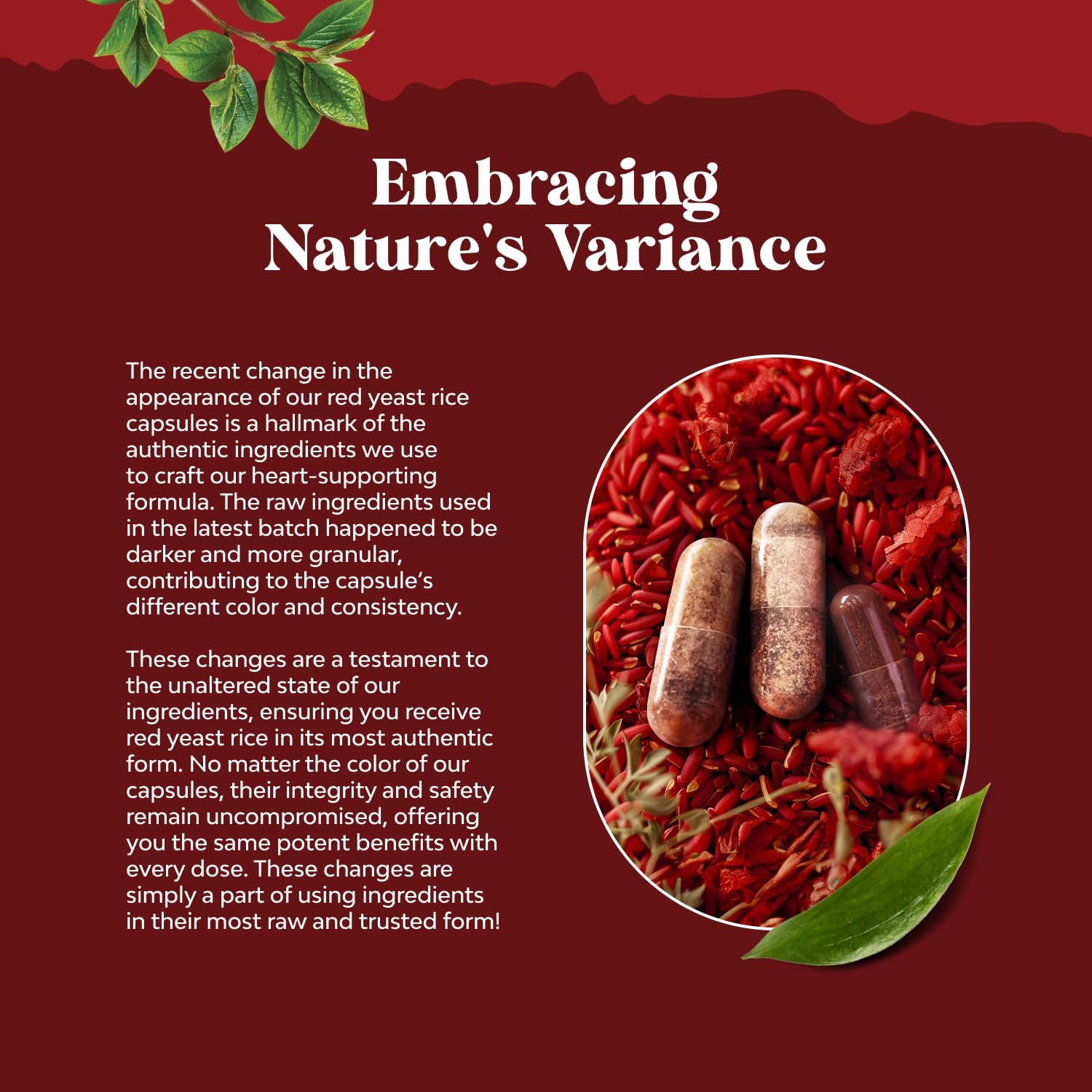 Extra Strength Red Yeast Rice with CoQ10 1200mg - Heart Health Supplement Vegan Non-GMO (2 Months)