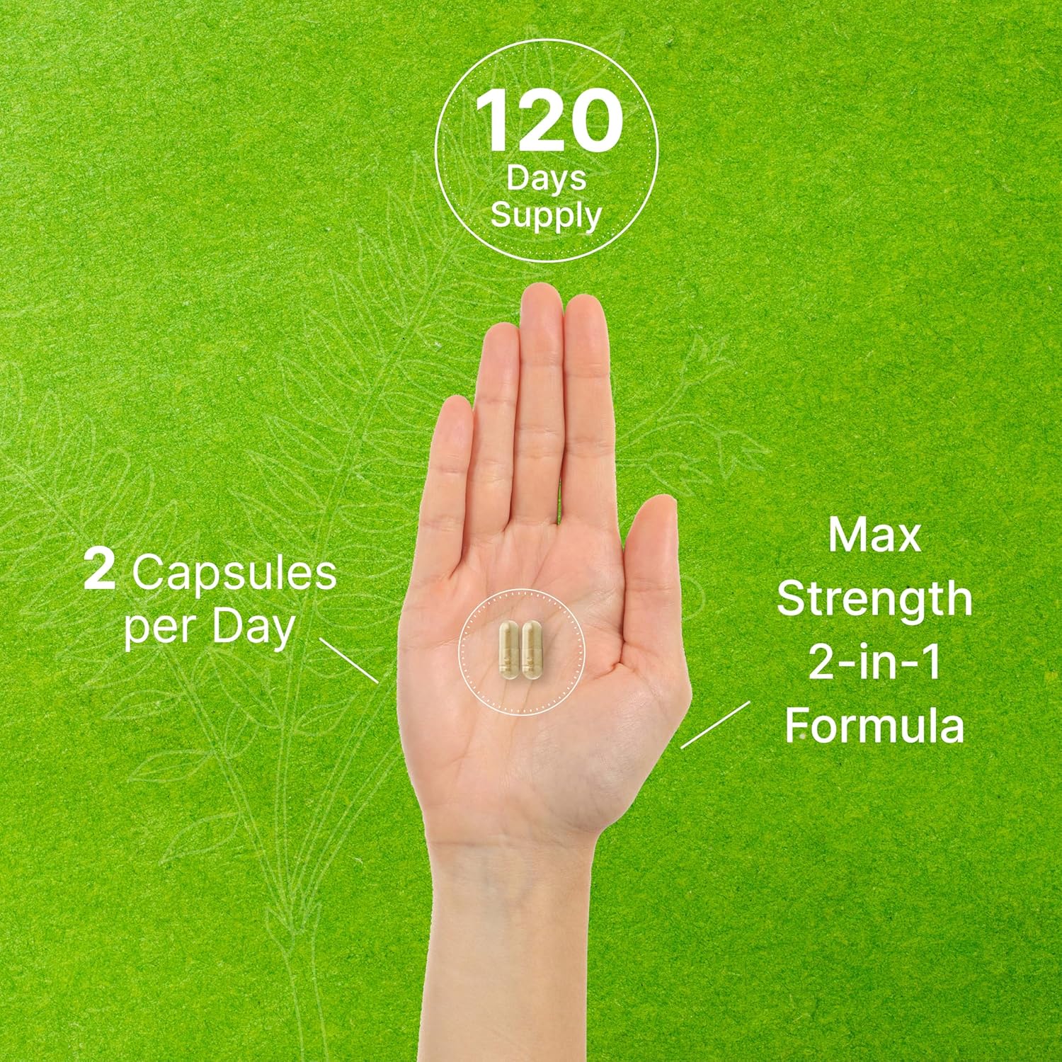 Extra Strength Tongkat Ali Extract 300:1 with Horny Goat Weed - 1,100mg, 240 Capsules - Indonesian Longjack Eurycoma Longifolia Root - Herbal Energy Supplement