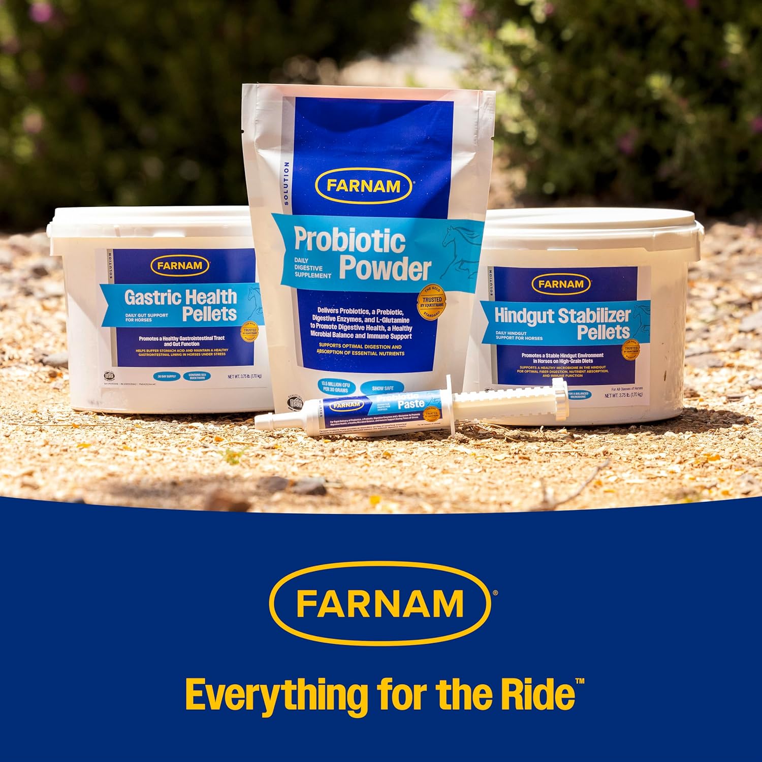 Farnam Hindgut Stabilizer Pellets: Daily Digestive & Immune Supplement for Horses - Balances Microbiome for Optimal Digestion