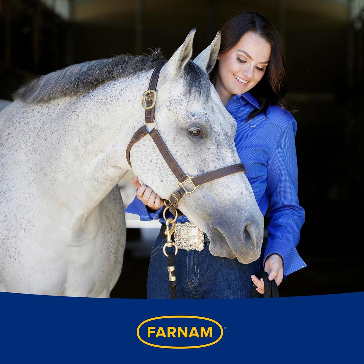 Farnam Hindgut Stabilizer Pellets: Daily Digestive & Immune Supplement for Horses - Balances Microbiome for Optimal Digestion