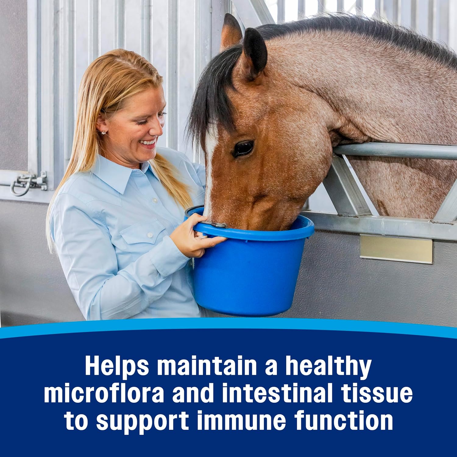 Farnam Hindgut Stabilizer Pellets: Daily Digestive & Immune Supplement for Horses - Balances Microbiome for Optimal Digestion