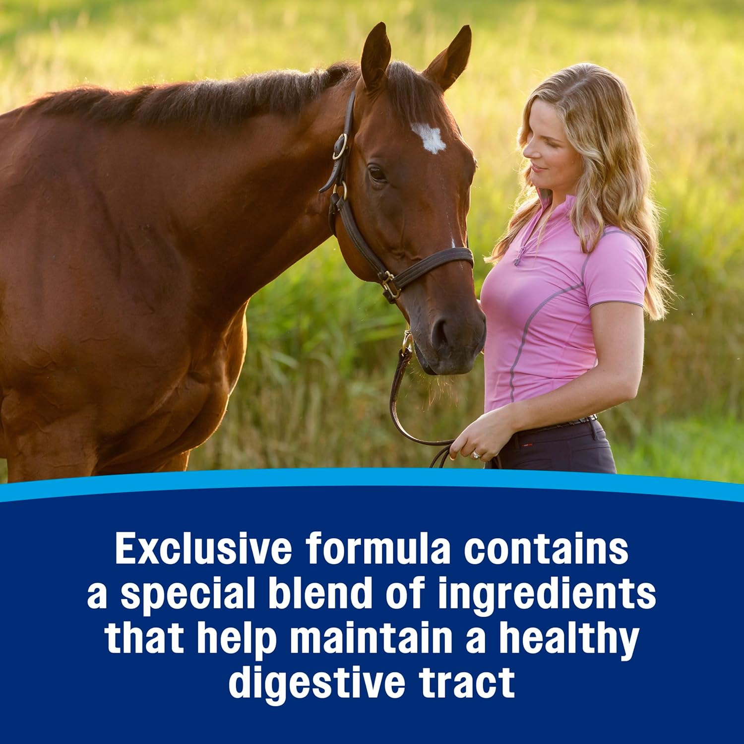 Farnam Hindgut Stabilizer Pellets: Daily Digestive & Immune Supplement for Horses - Balances Microbiome for Optimal Digestion