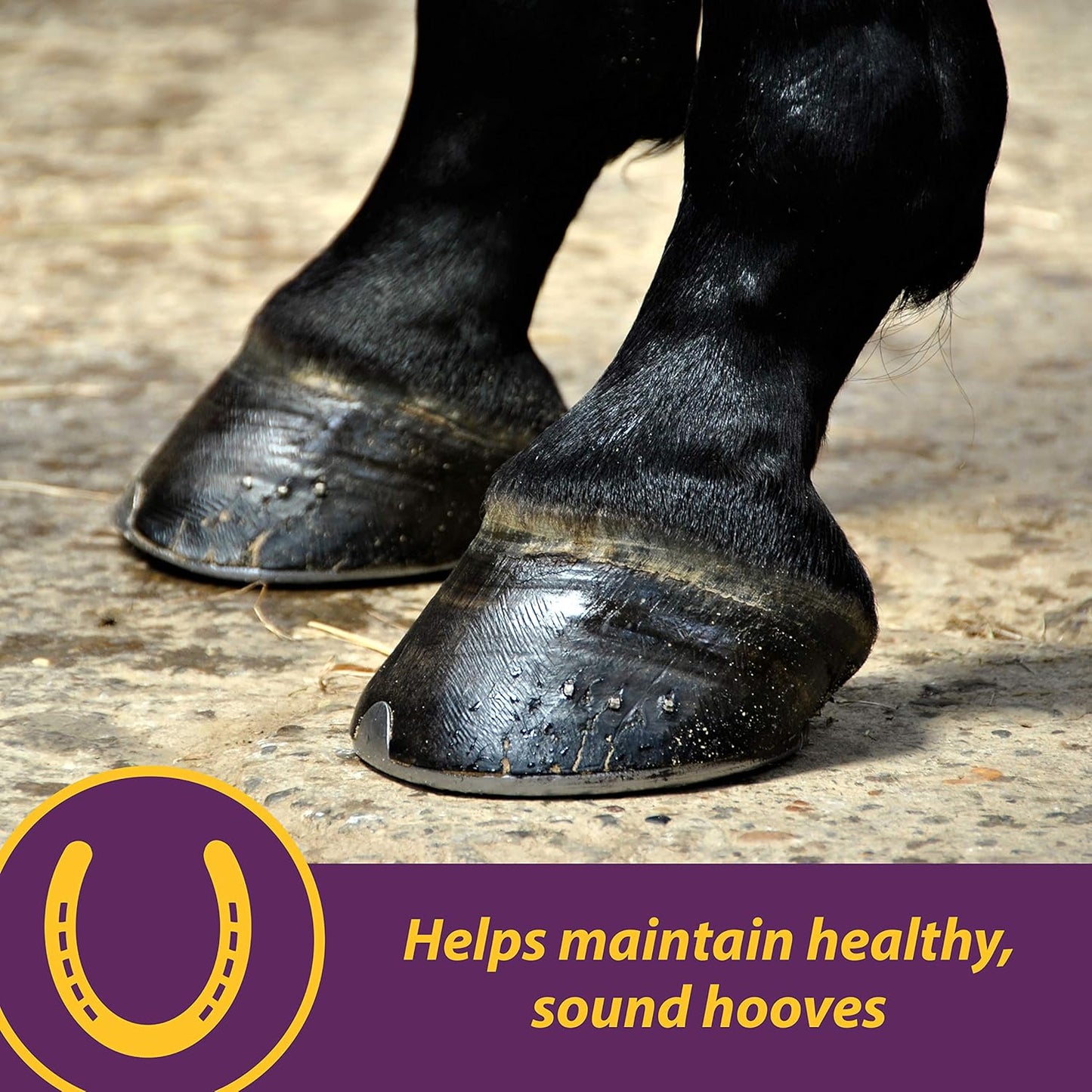 Farnam Horse Health Vita Biotin Crumbles Hoof Supplement - 20 lbs, 320 Day Supply - Promotes Strong and Healthy Hooves