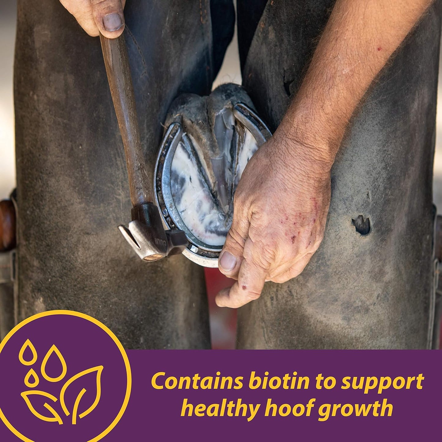 Farnam Horse Health Vita Biotin Crumbles Hoof Supplement - 20 lbs, 320 Day Supply - Promotes Strong and Healthy Hooves