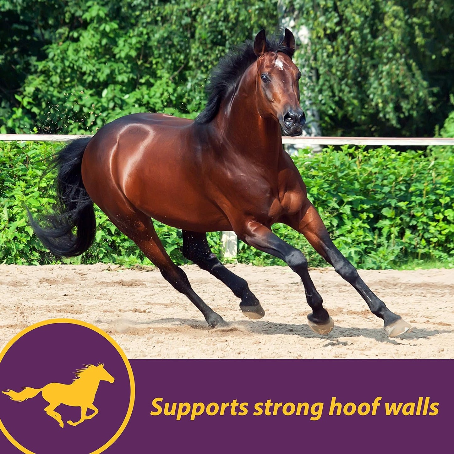 Farnam Horse Health Vita Biotin Crumbles Hoof Supplement - 20 lbs, 320 Day Supply - Promotes Strong and Healthy Hooves