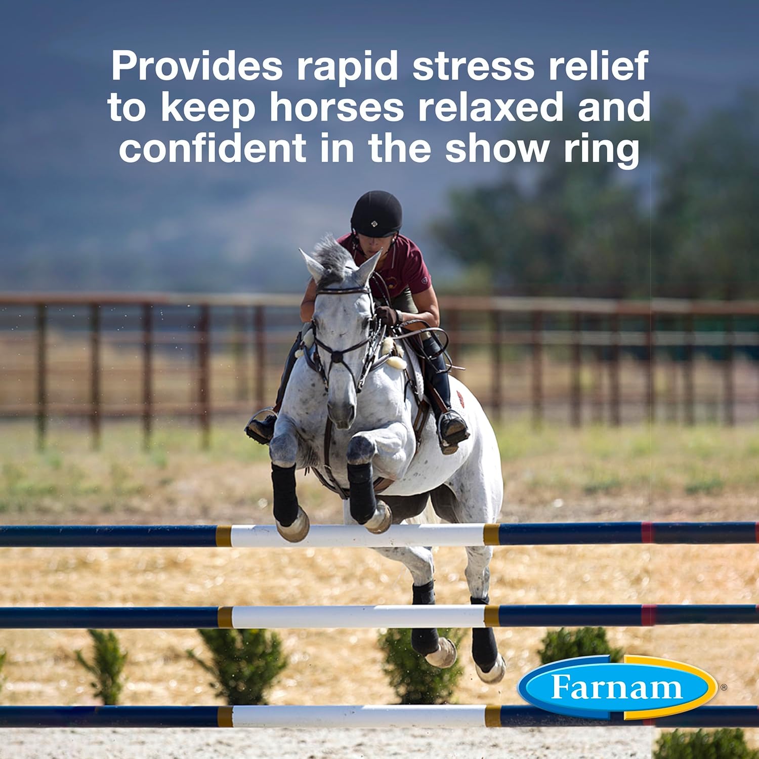 Farnam Quietex Show Calming Paste - Keeps Nervous Horses Calm & Focused in the Show Ring - 30 cc