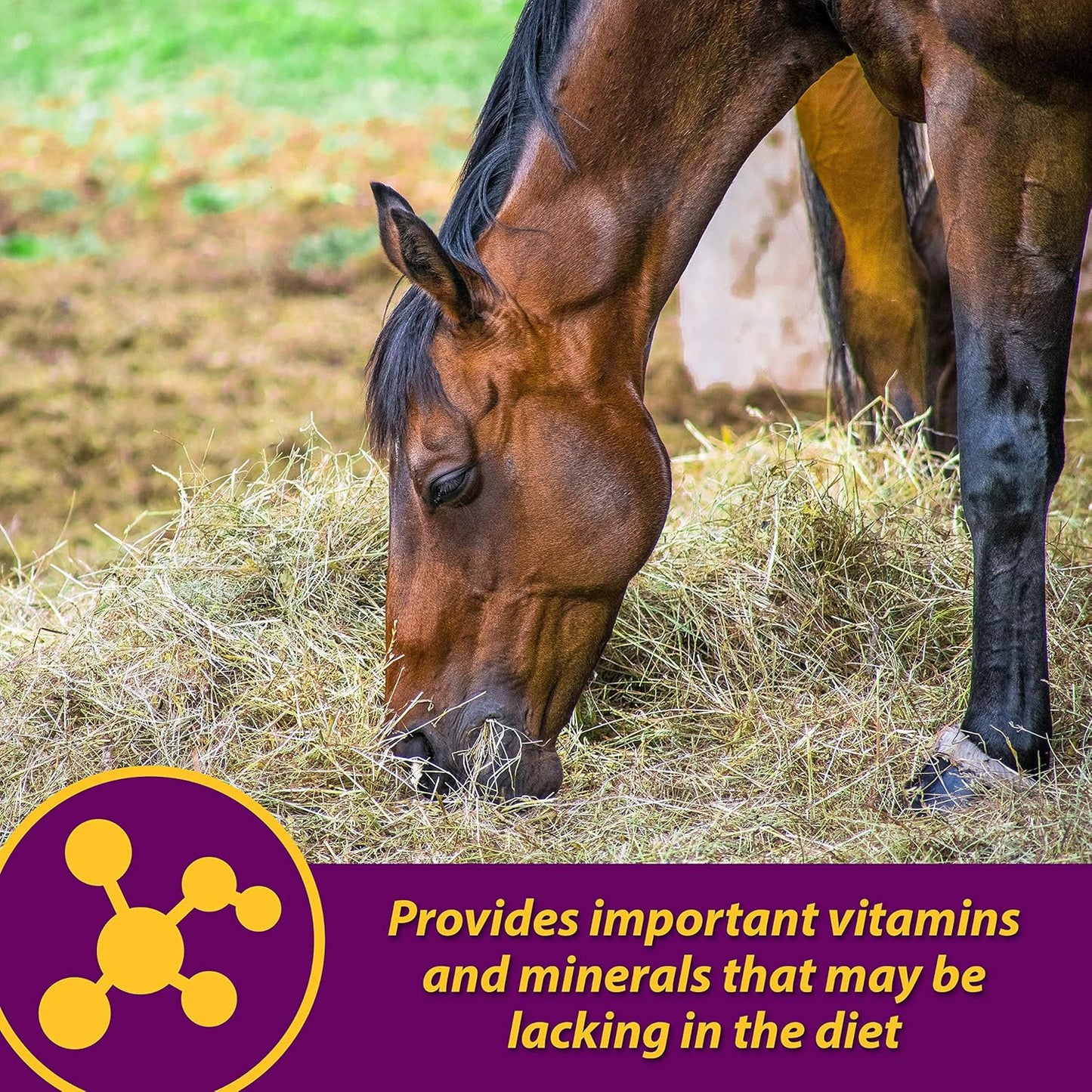 Farnam Red Cell Pellets Vitamin-Iron-Mineral Supplement for Horses - 4 lbs - 64-Day Supply