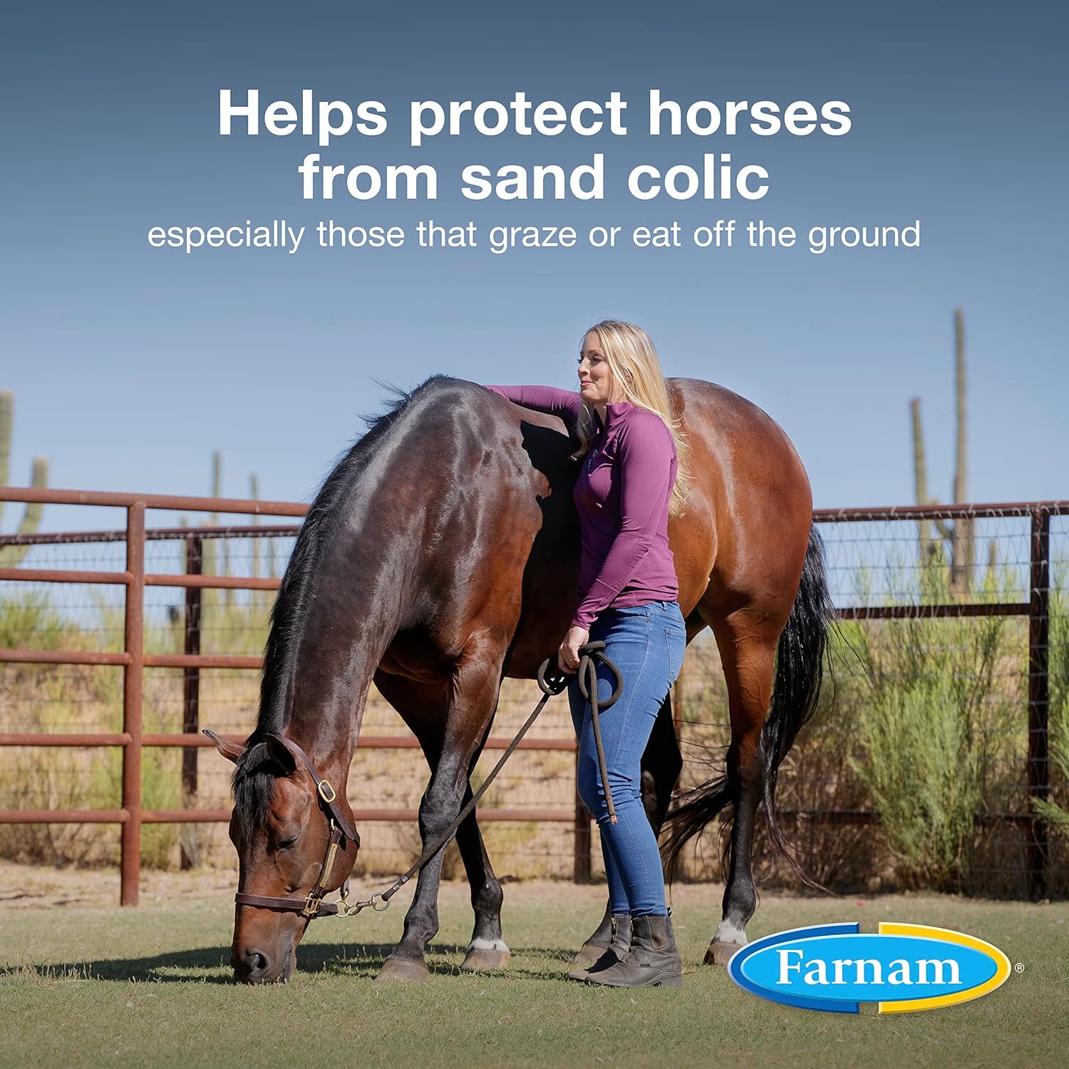 Farnam Sand Clear for Horses: Natural Psyllium Crumbles, 3 lbs. - Veterinarian Recommended for Colon Health