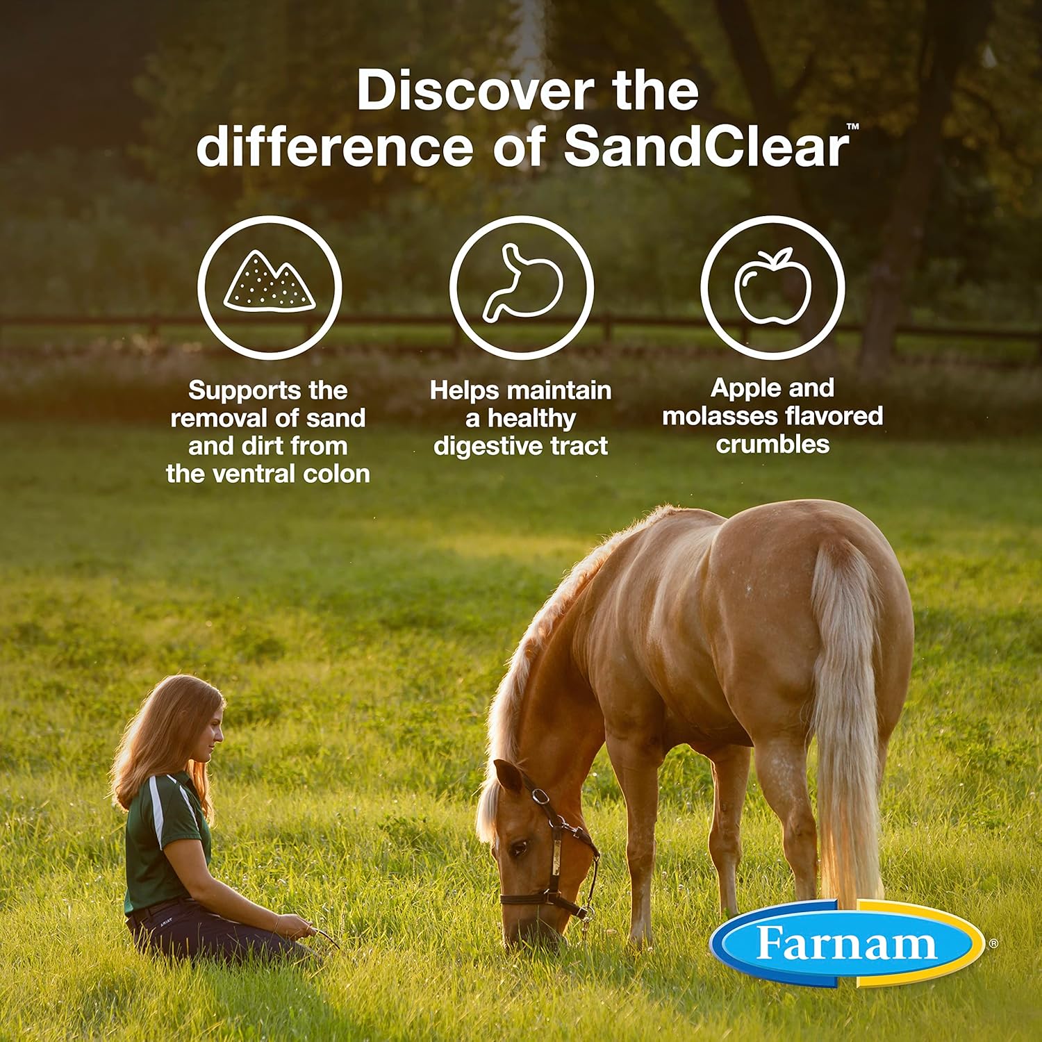 Farnam Sand Clear for Horses: Natural Psyllium Crumbles, 3 lbs. - Veterinarian Recommended for Colon Health