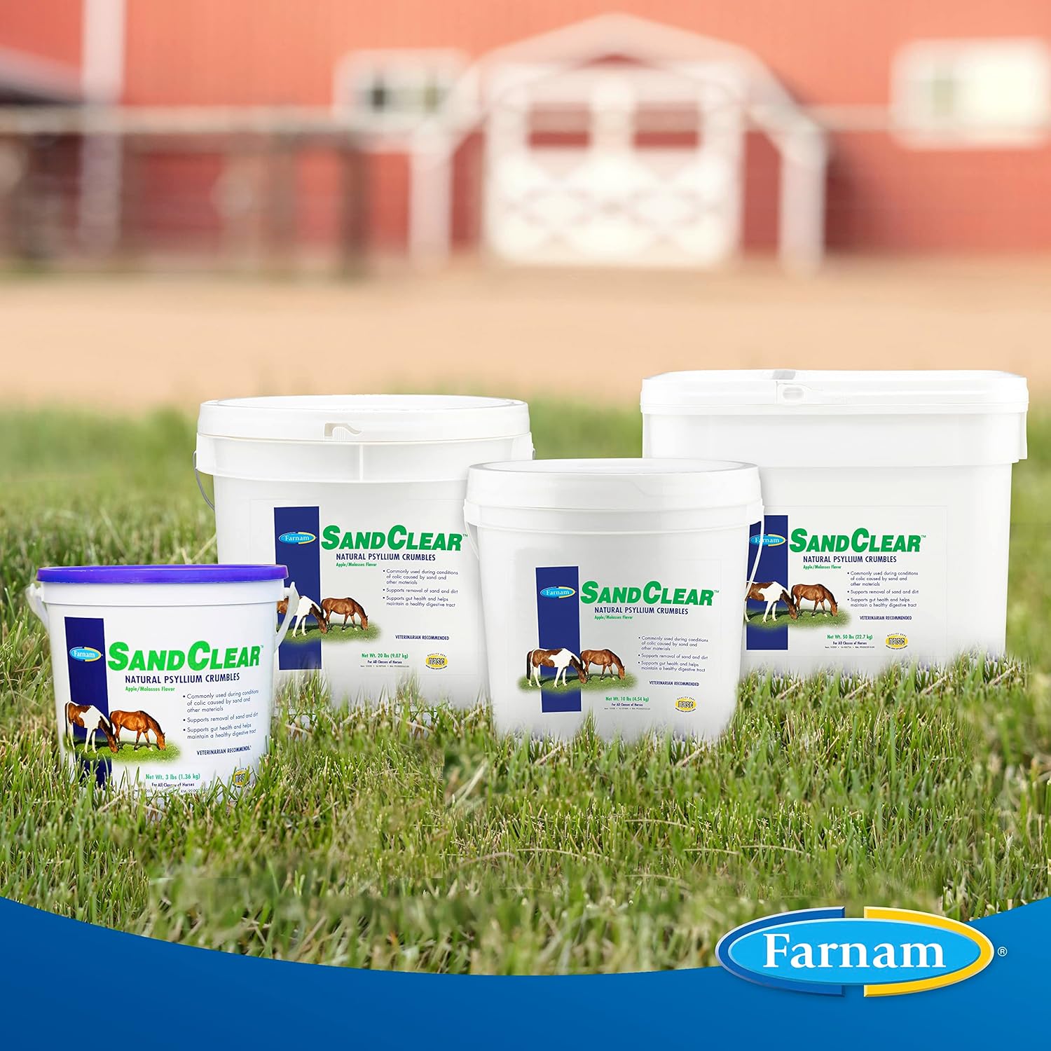 Farnam Sand Clear for Horses: Natural Psyllium Crumbles, 3 lbs. - Veterinarian Recommended for Colon Health