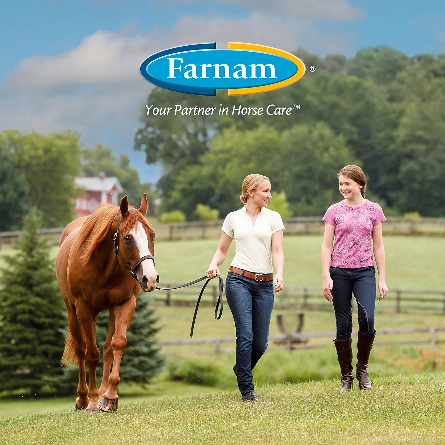 Farnam Sand Clear for Horses: Natural Psyllium Crumbles, 3 lbs. - Veterinarian Recommended for Colon Health