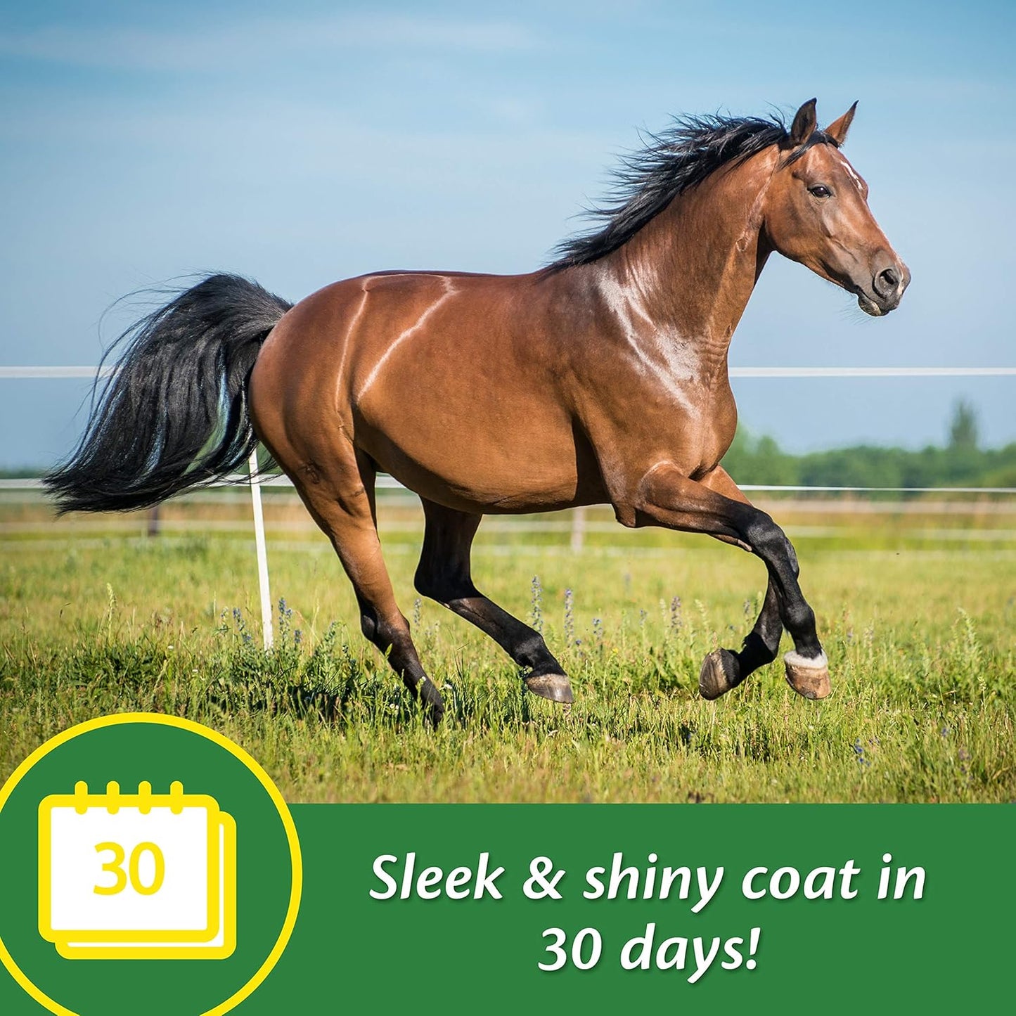 Farnam Super 14 Horse Supplement Promotes Healthy Skin & Shiny Coat - 2.75 lb, 44 Day Supply